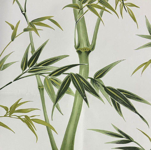 Havana - Palm