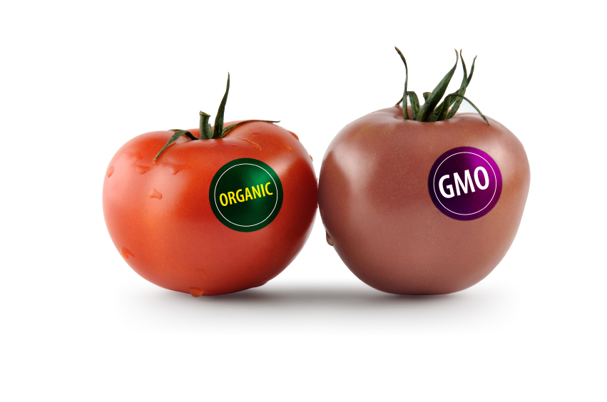 genetically-modified-food1.jpg