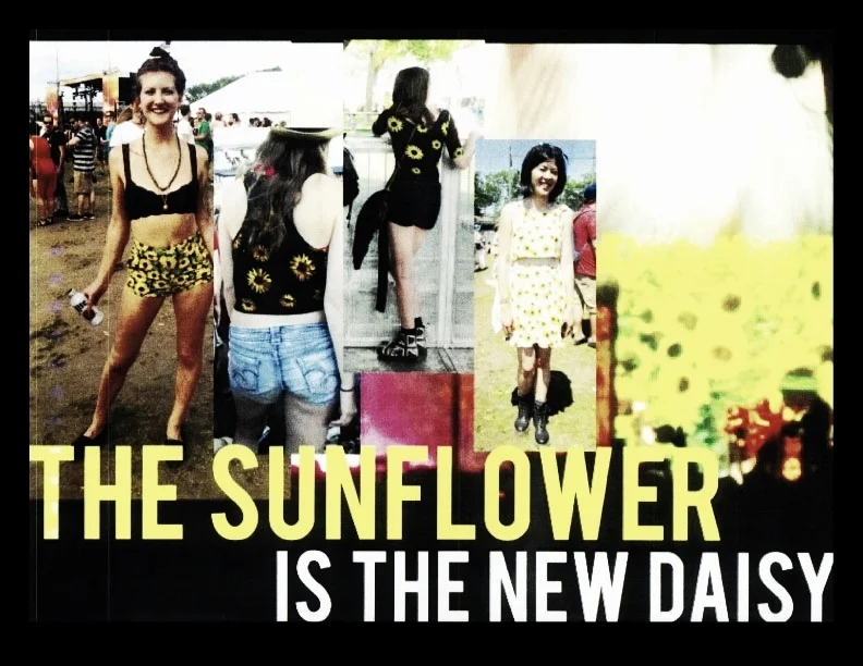 SUNFLOWER2.jpg