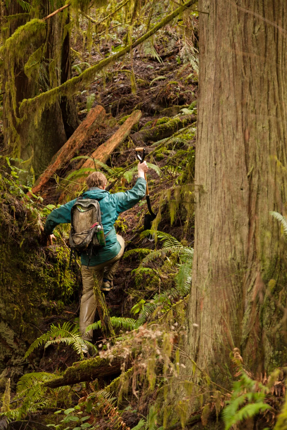 BrittanyMoser_Rockhounding_PNW-1.jpg