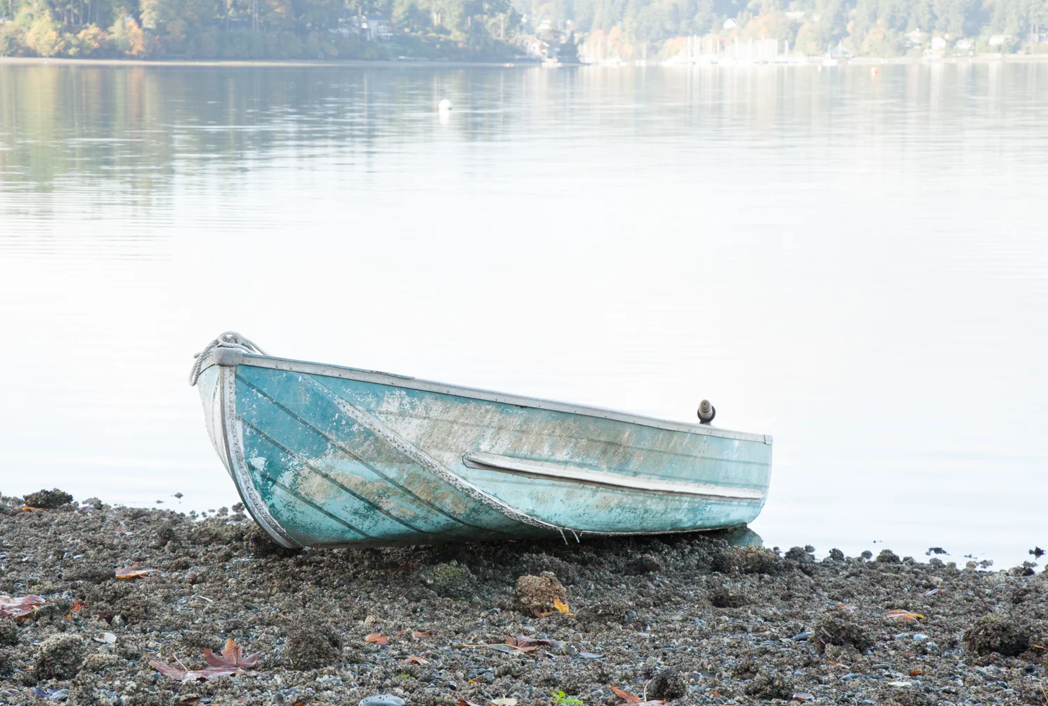 BrittanyMoser_Vashon_PNW-1-2.jpg