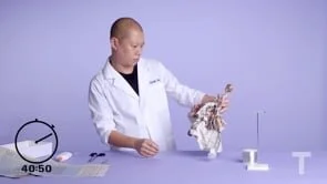 T Magazine - Make T Something: Jason Wu