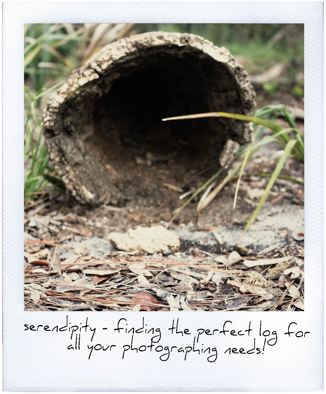 polaroid_frame_psd_by_clarearies13-d3cvrnr2.jpg