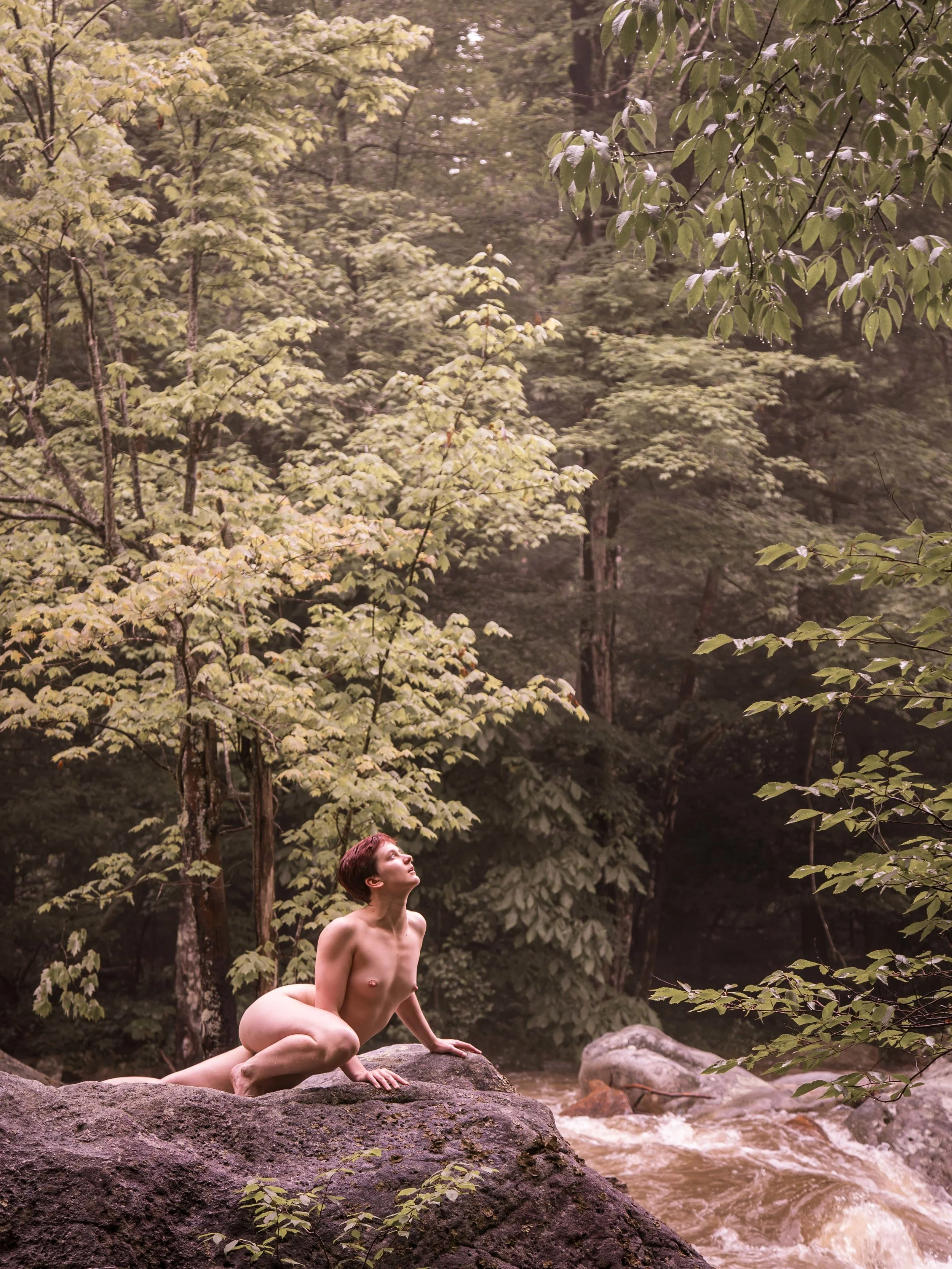 nude-photography-woods