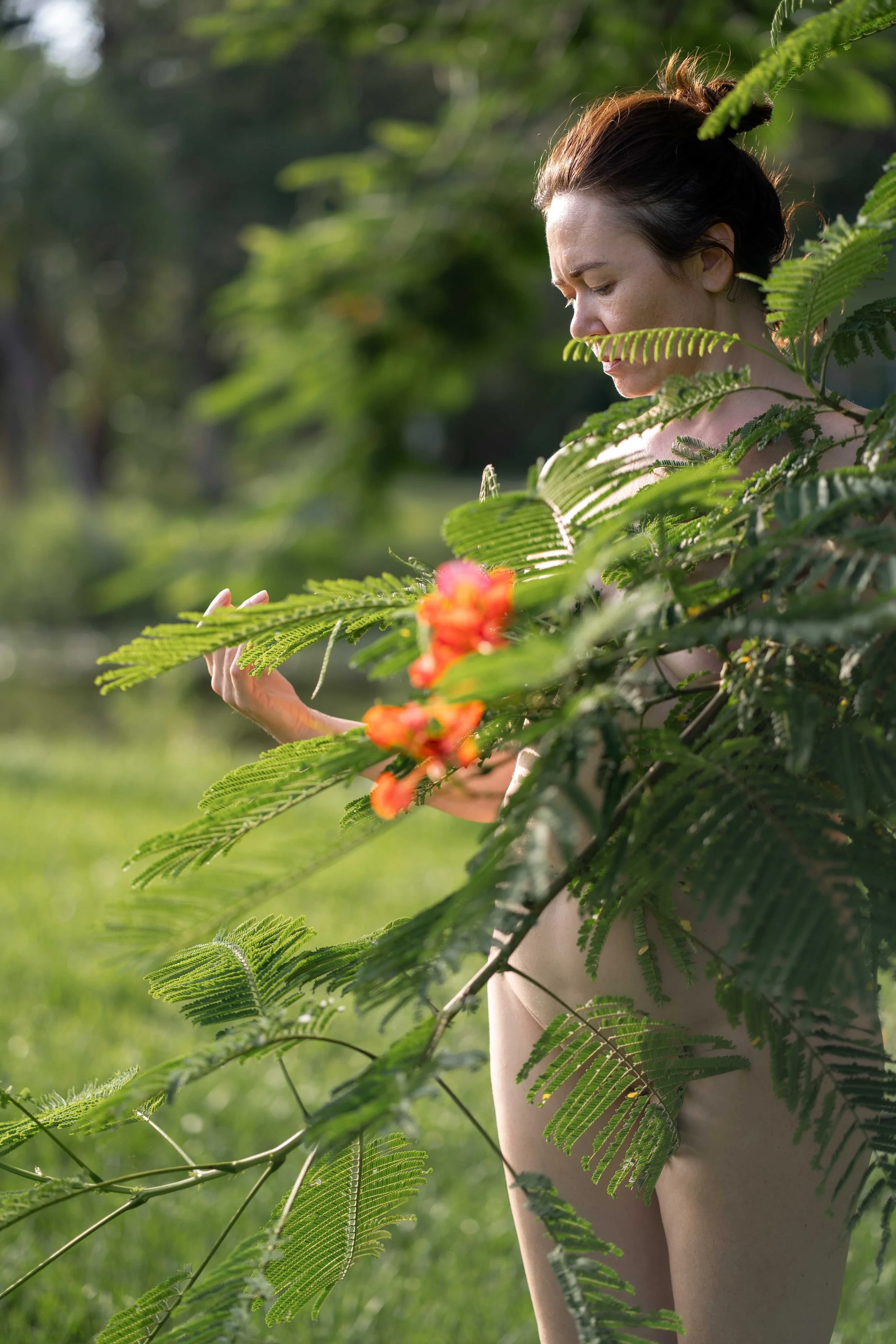 the-bliss-circle-poinciana-7.jpg