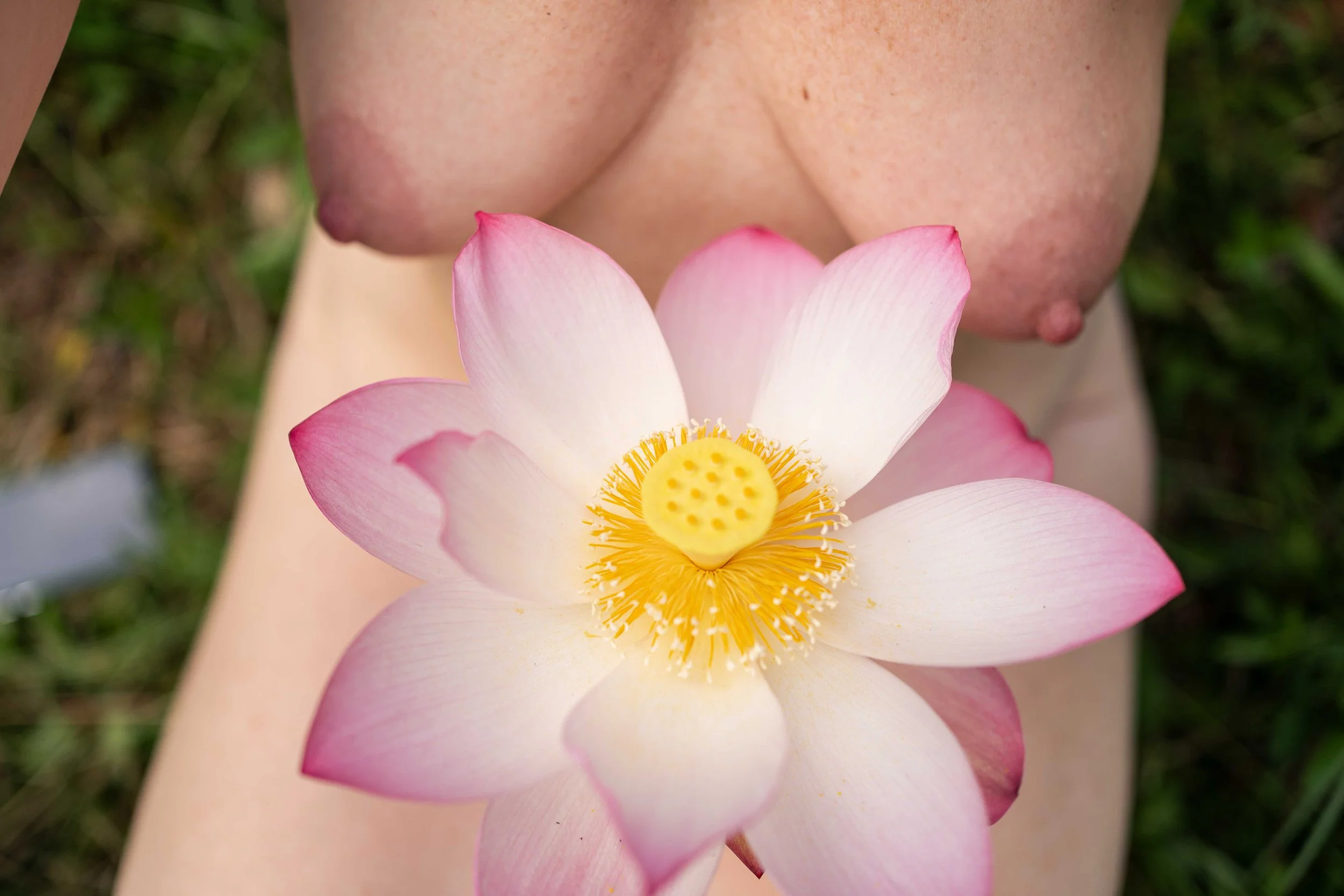 the-bliss-circle-lotus-16.jpg