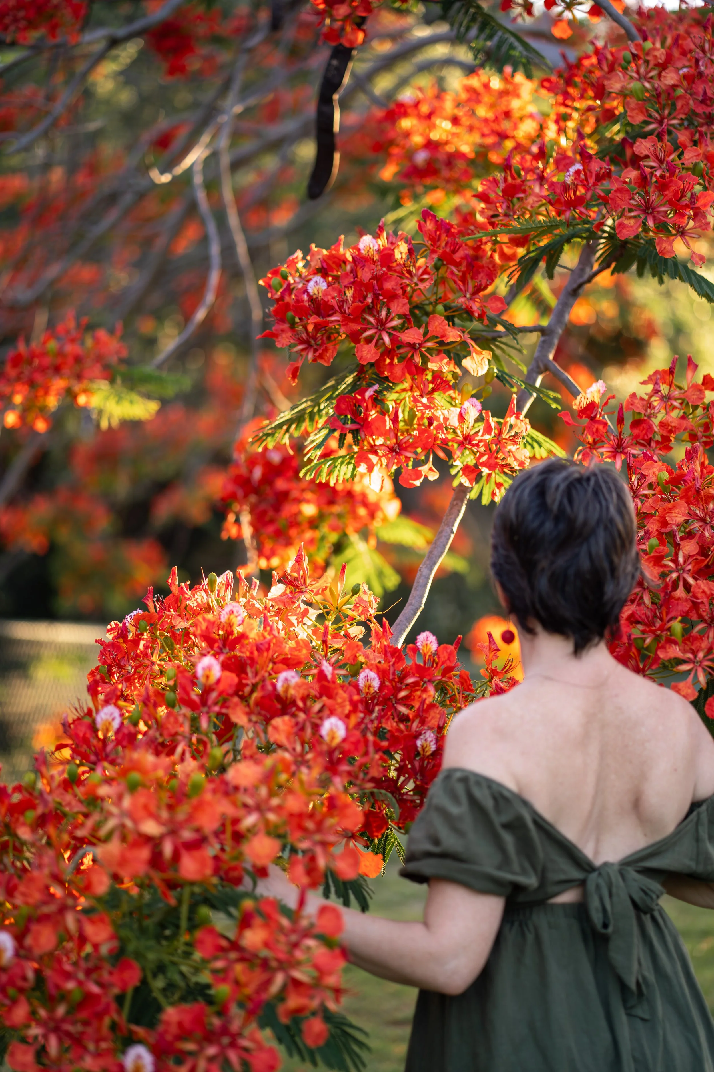 red-3.jpg