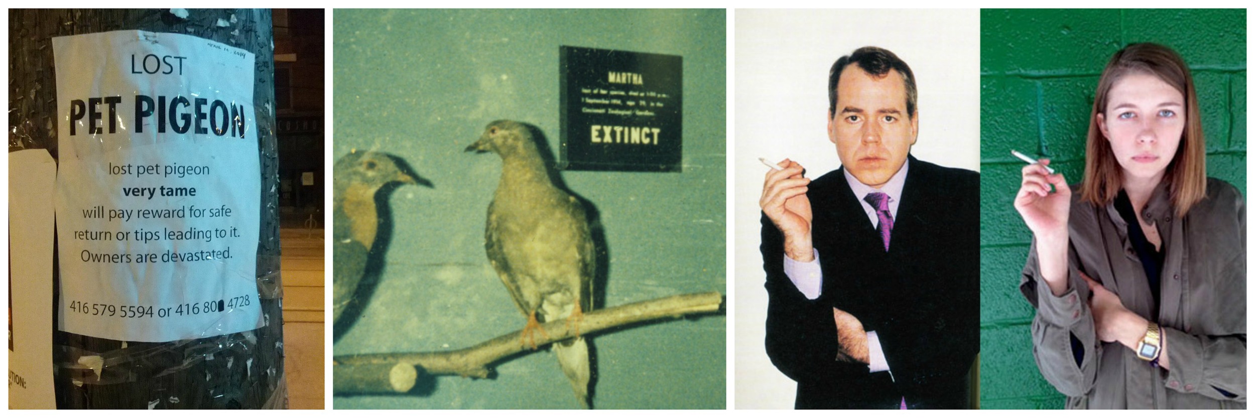 The Pigeon Issue.jpg