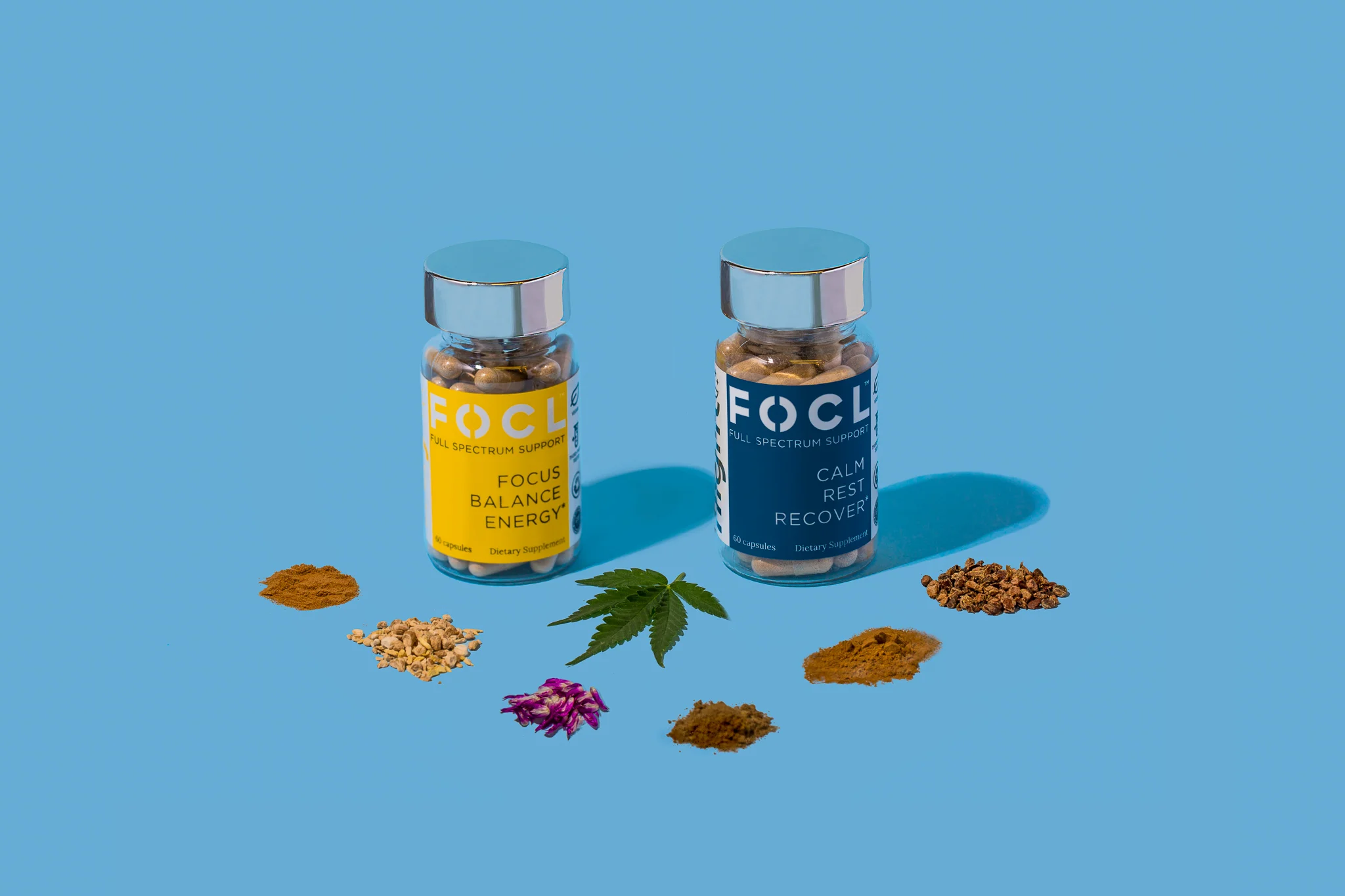 ERIC RIPPIN FOCL Duo Edit.JPEG