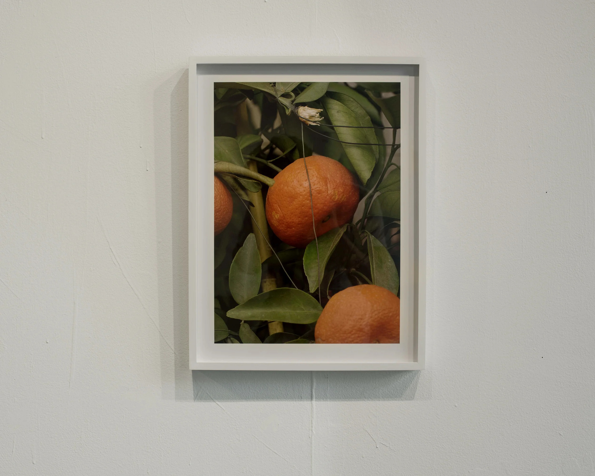 LOUIS HEILBRONN Installation View: Sunset Perfect A+E Studios, NY 2016