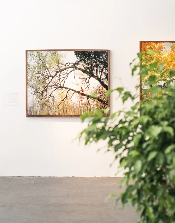 ARTE FUSE | Chasing Unicorns: Mythologies of Progress in American Landscapes