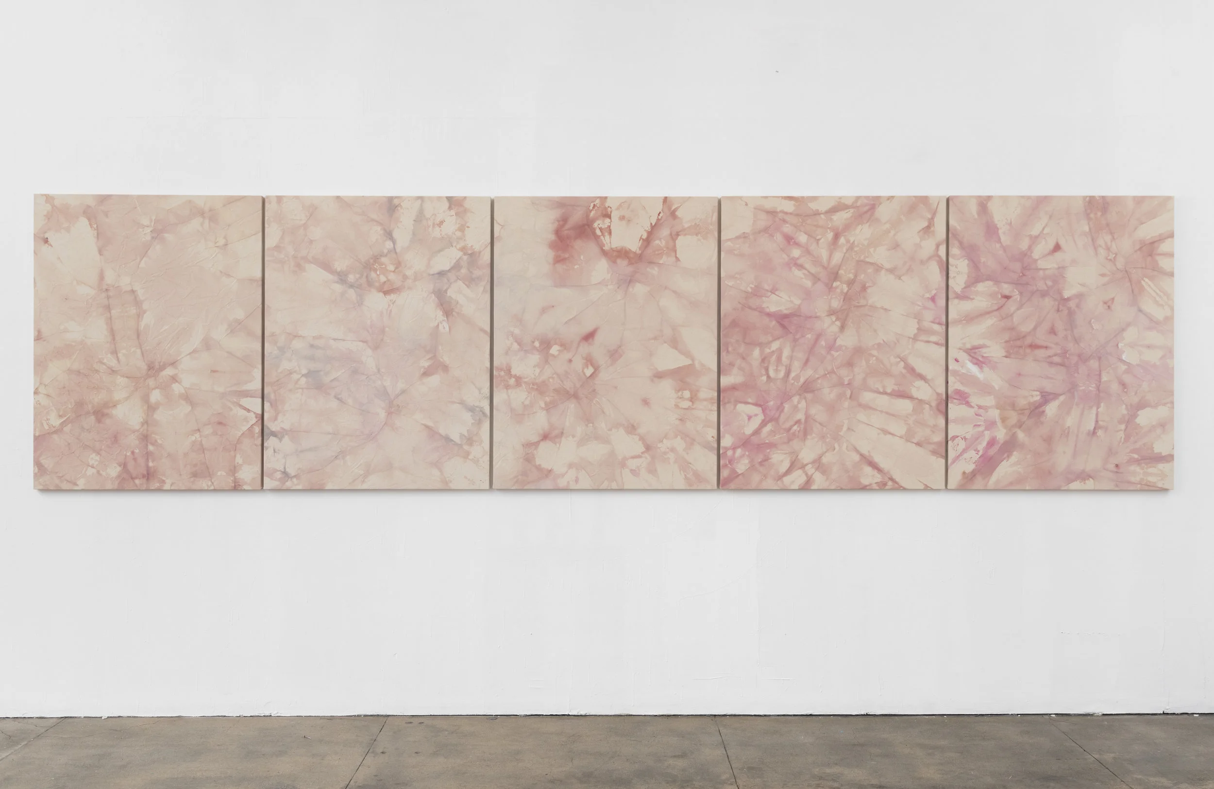 Annie Shinn: Both Sides of the Sky , Installation View
