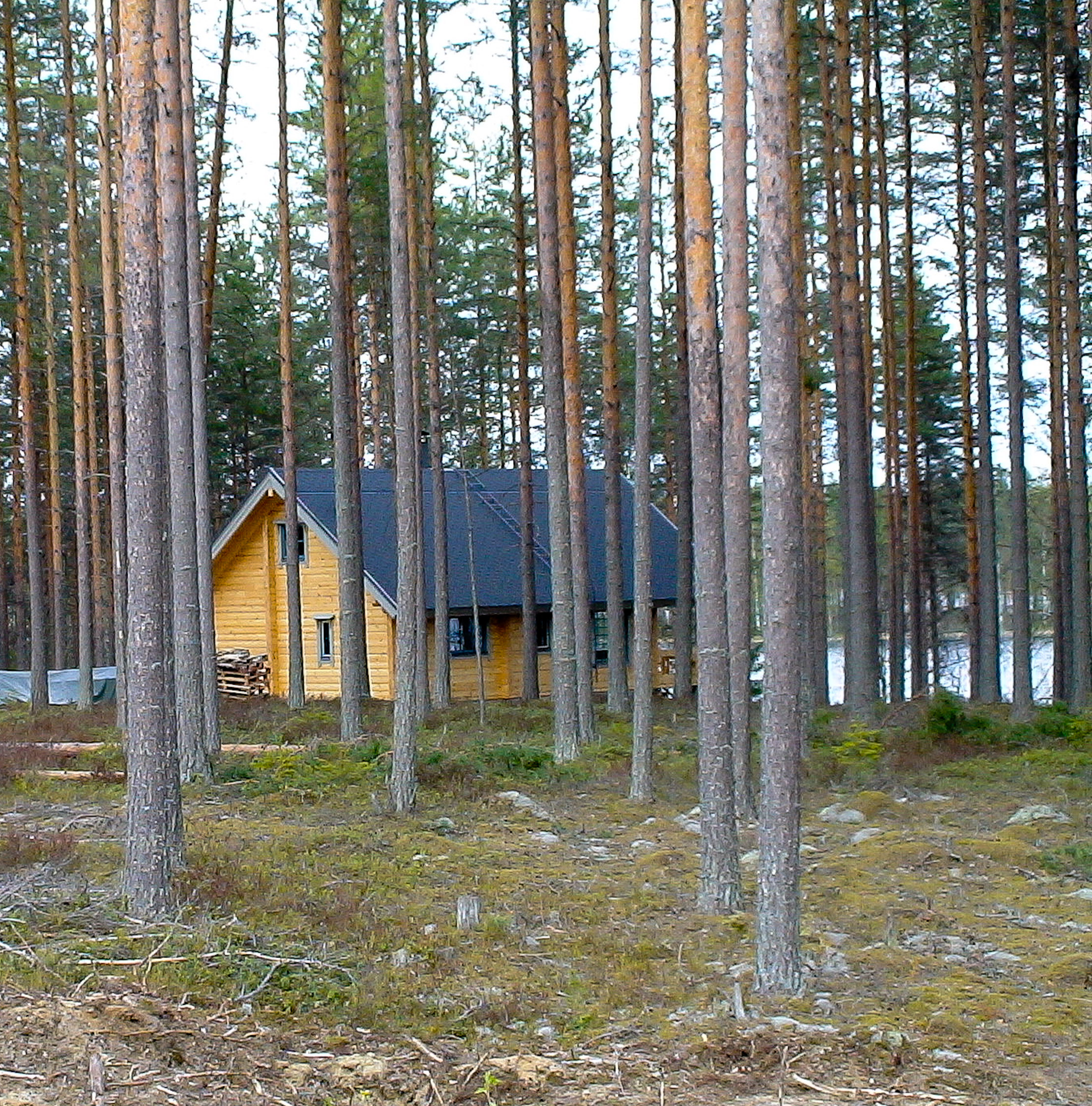 Дом в Финляндии. Дом на берегу озера.