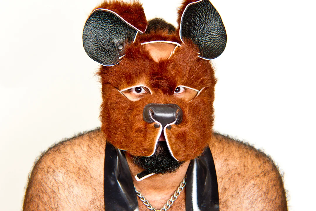 Spec Onyx (Puppy)