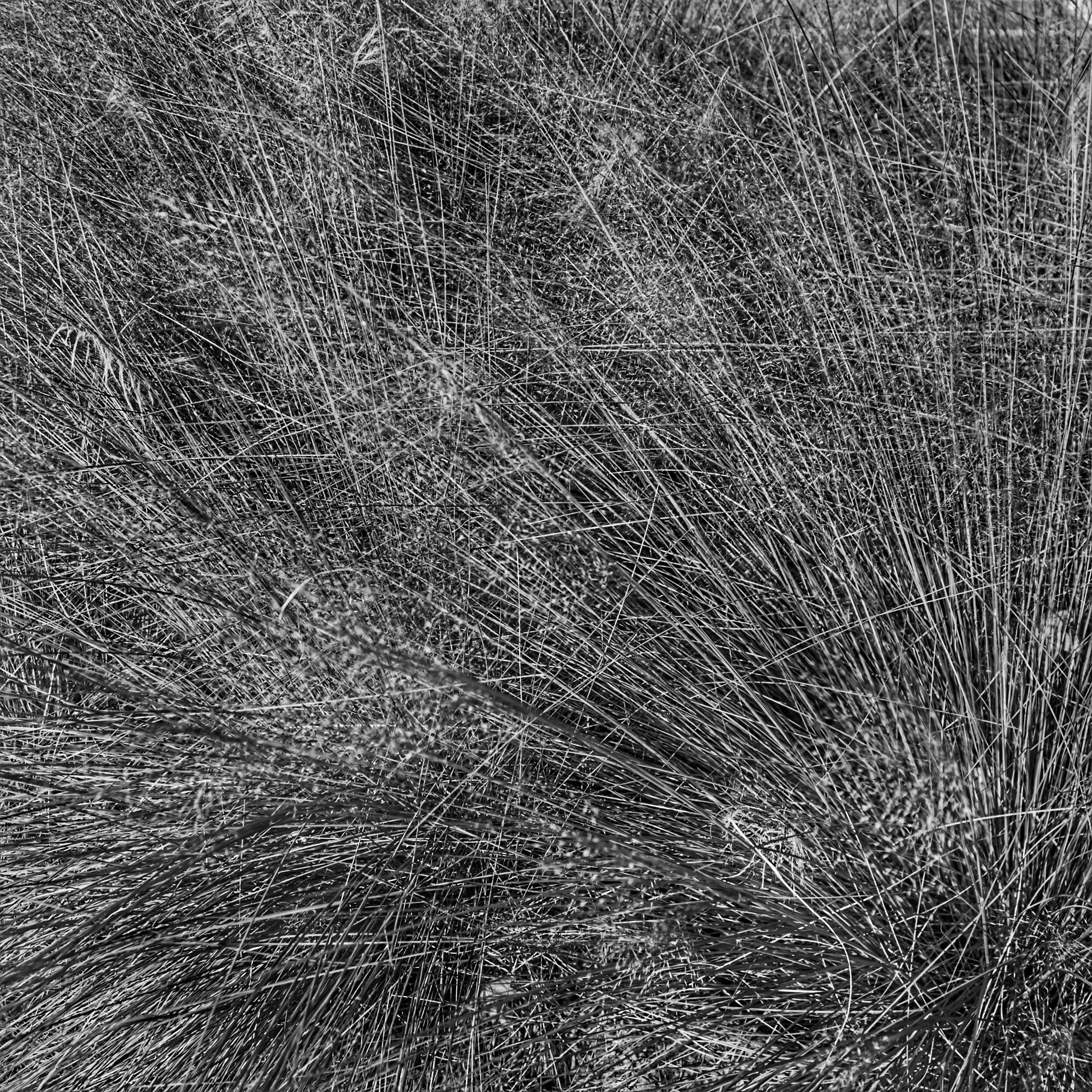 untitled shoot-5235_1.jpeg