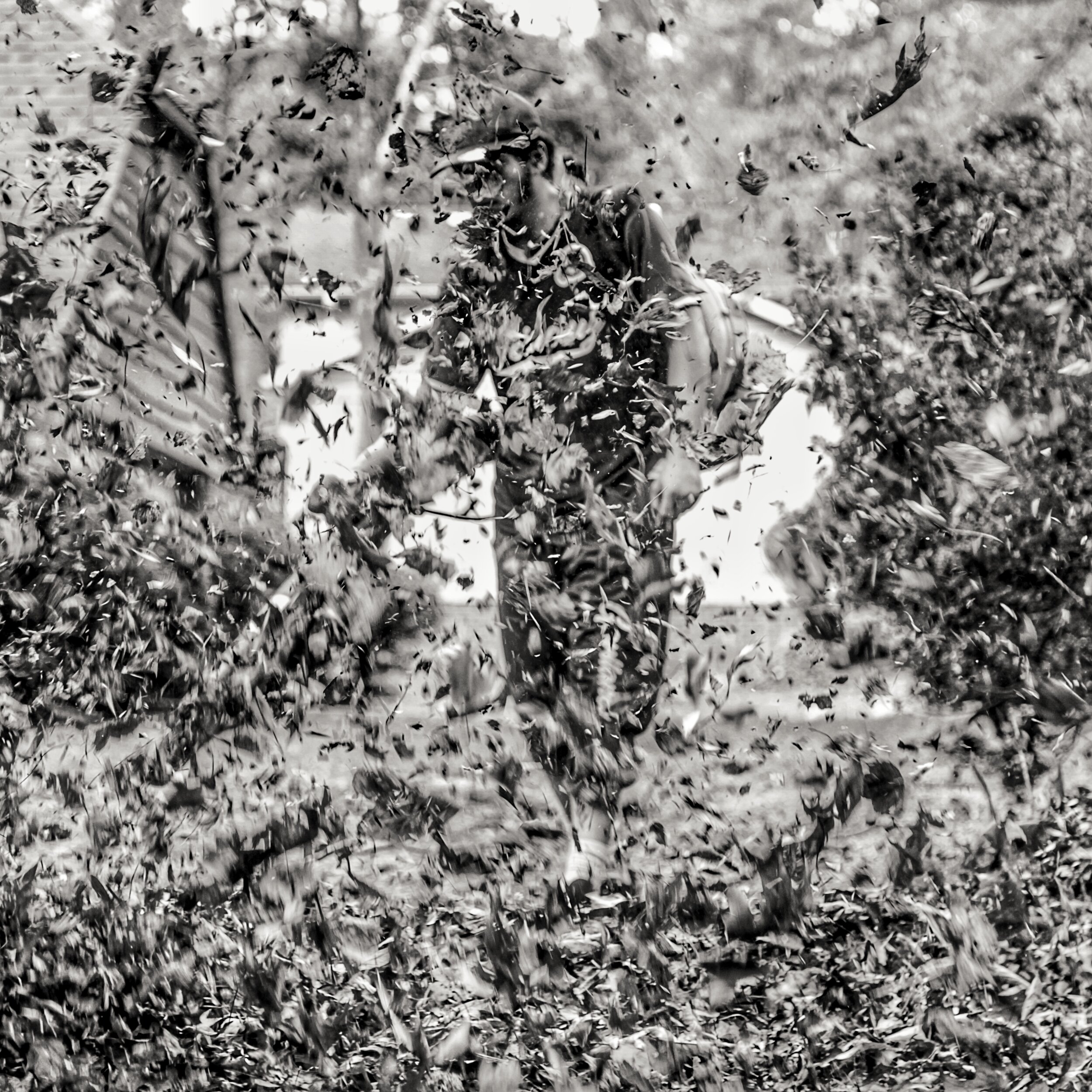 untitled shoot-4967.jpeg