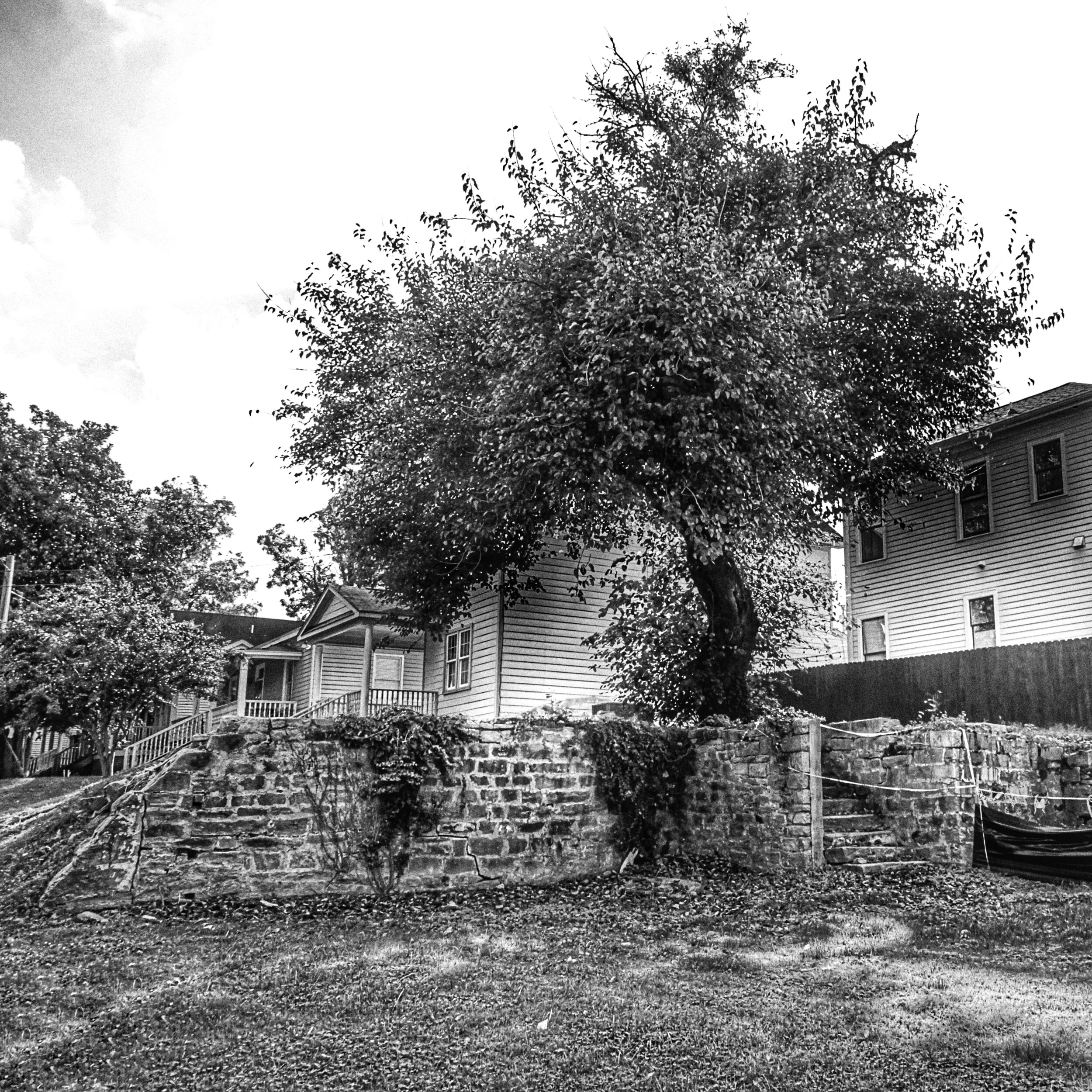 untitled shoot-4754.jpeg