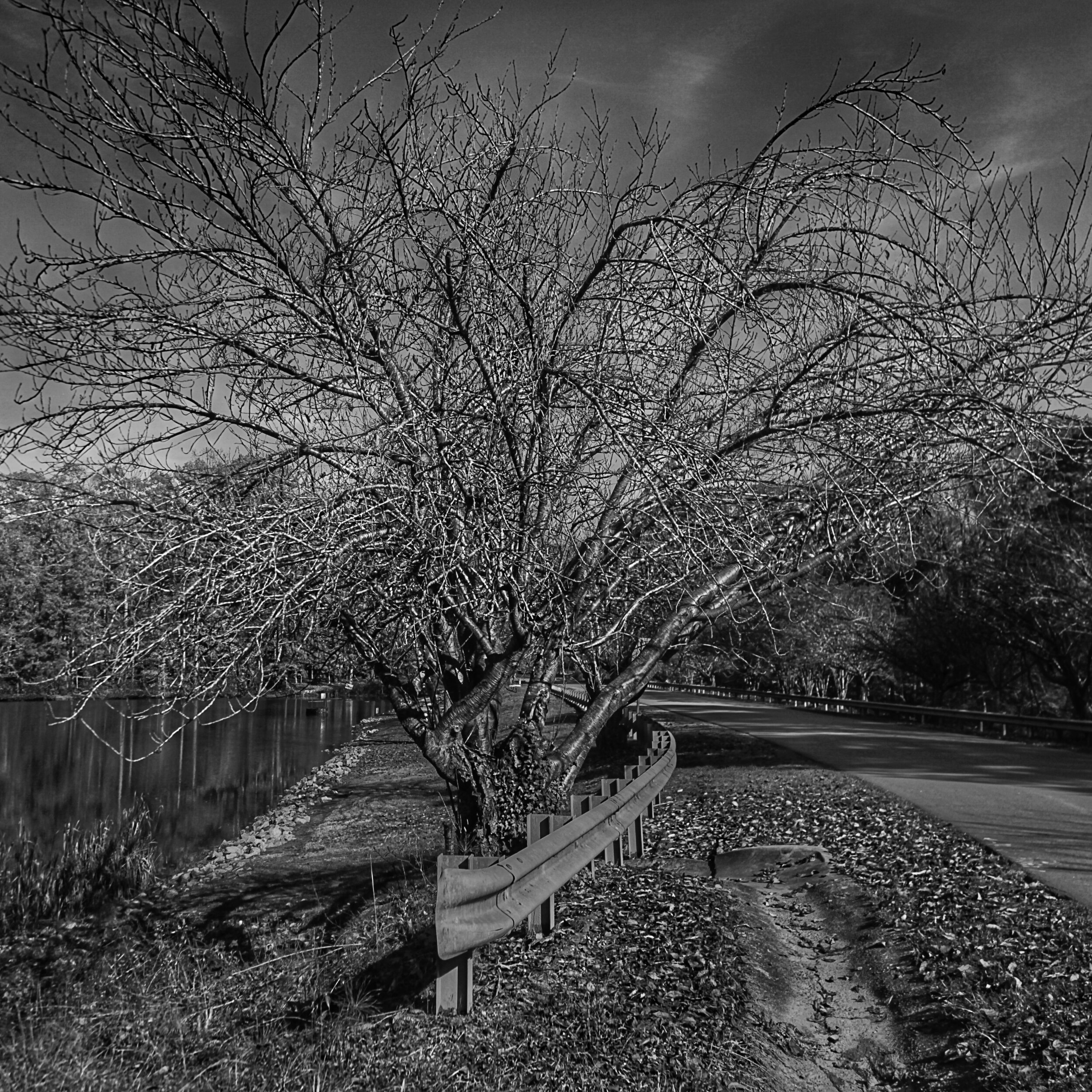 untitled shoot-5051.jpeg