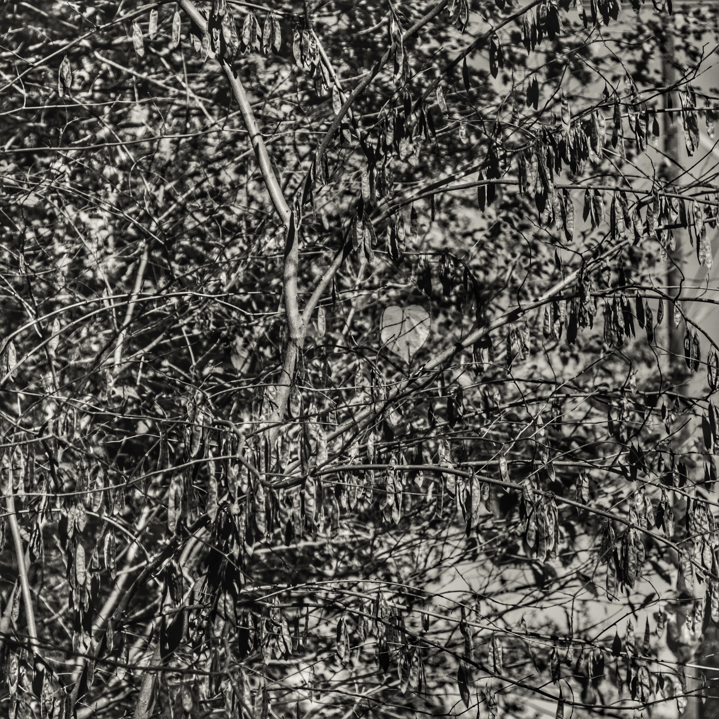 untitled shoot-5192.jpeg