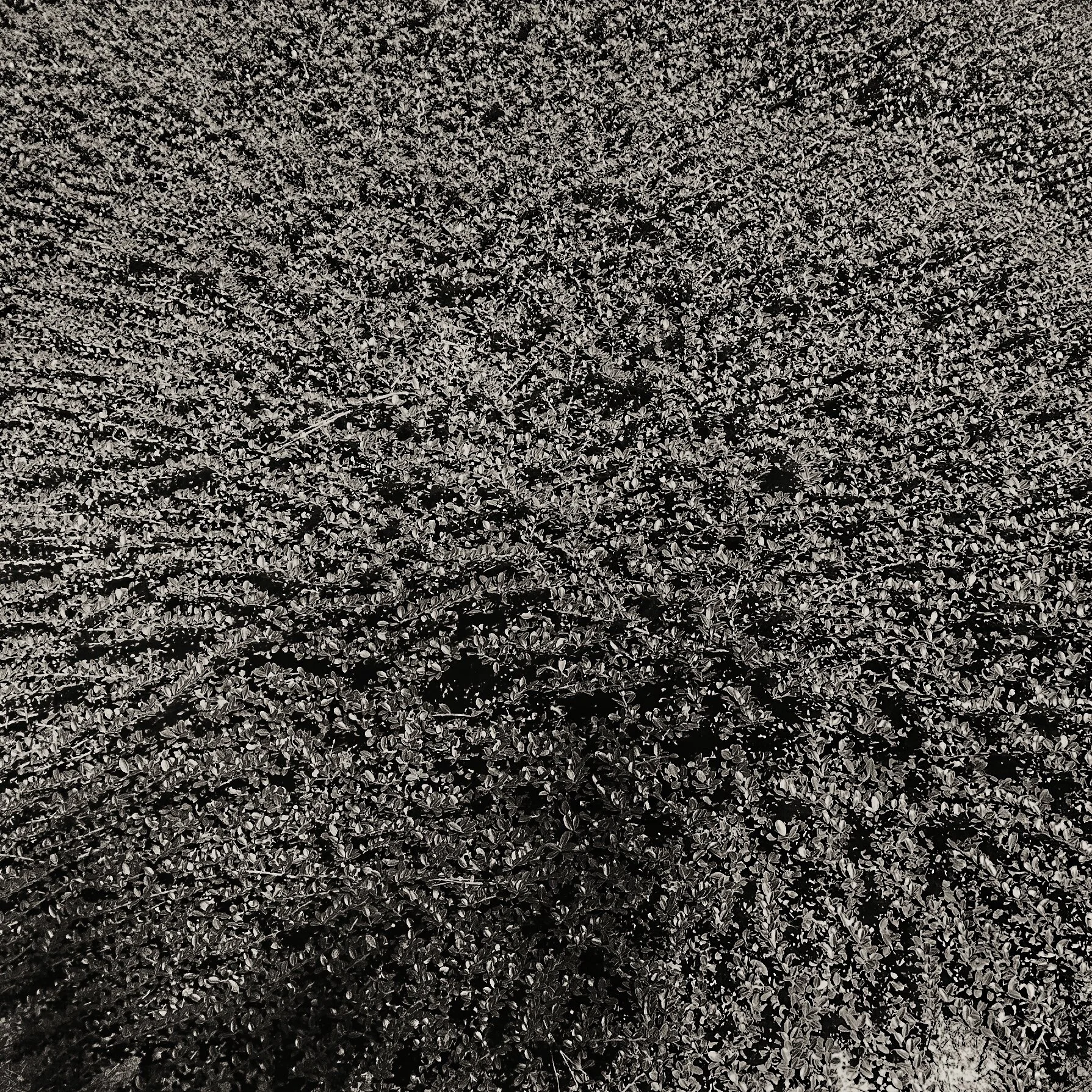 untitled shoot-1010749.jpeg