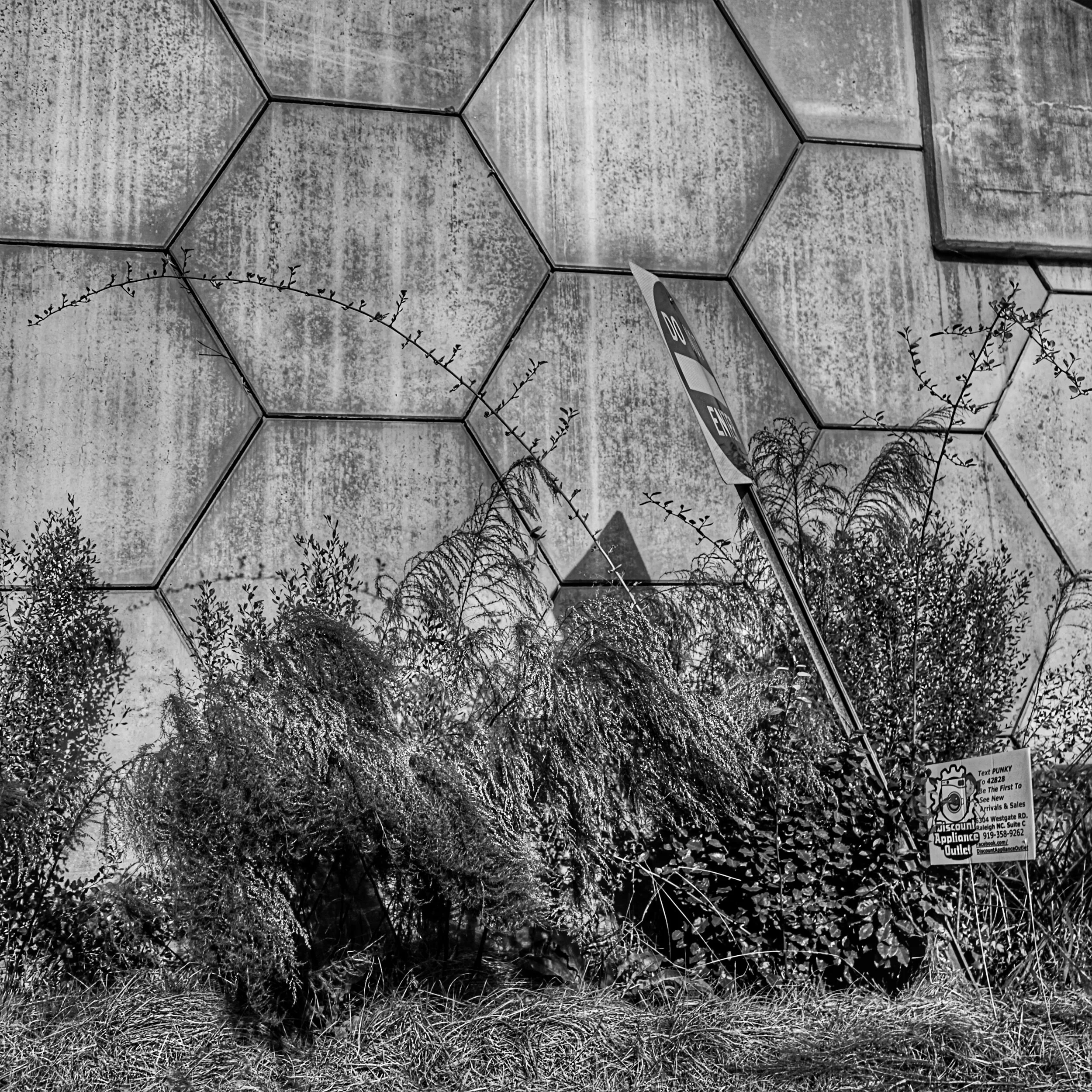 untitled shoot-4865.jpeg