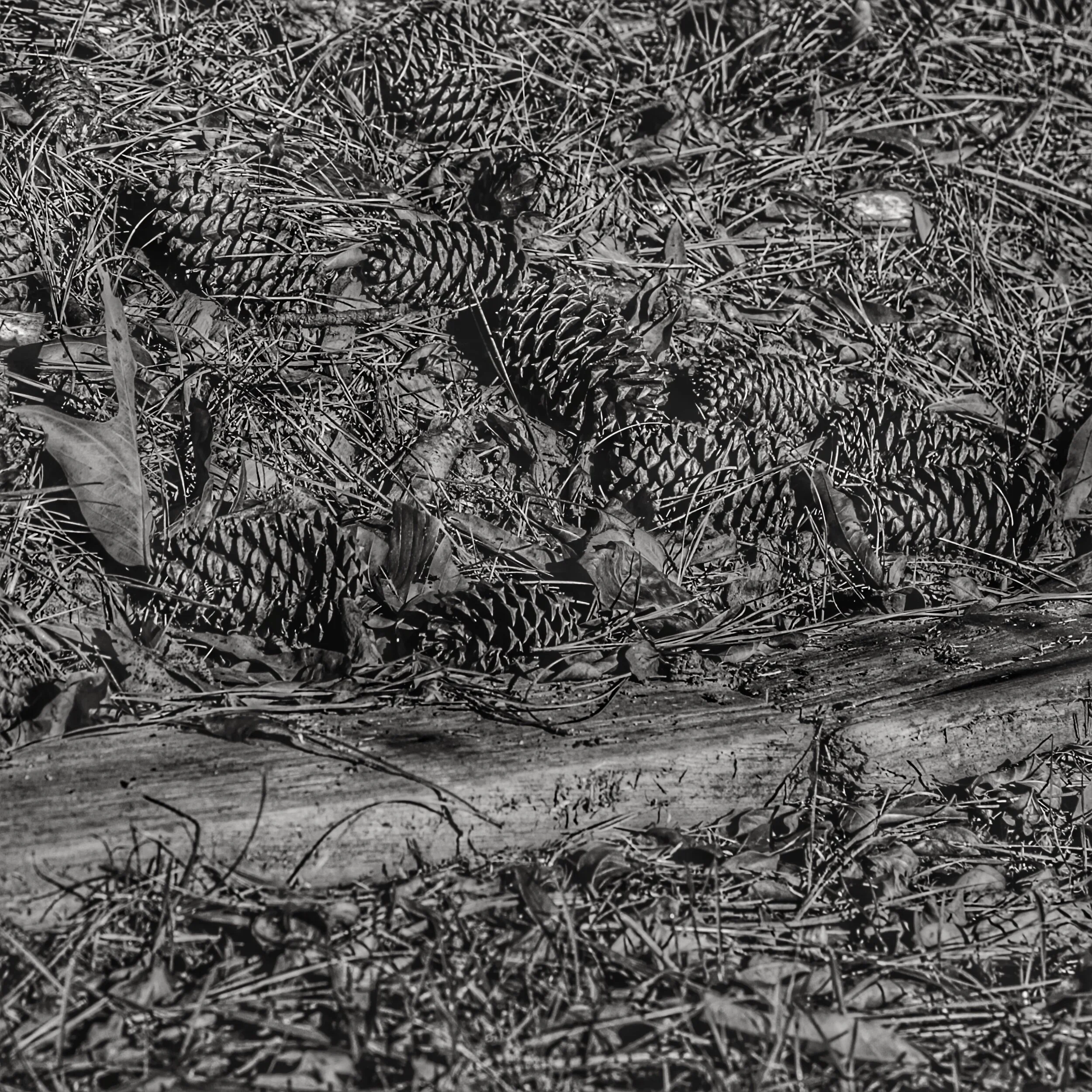 untitled shoot-5199.jpeg