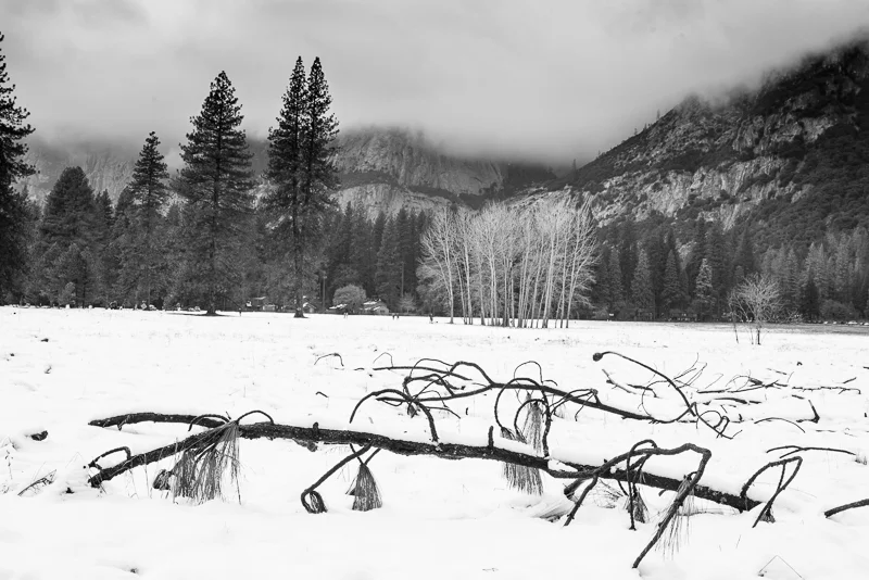 Yosemite, Dec 31, 2016