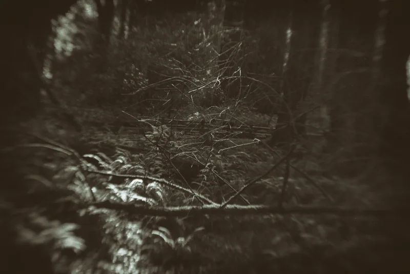 "In every walk with Nature one receives far more than he seeks." John Muir