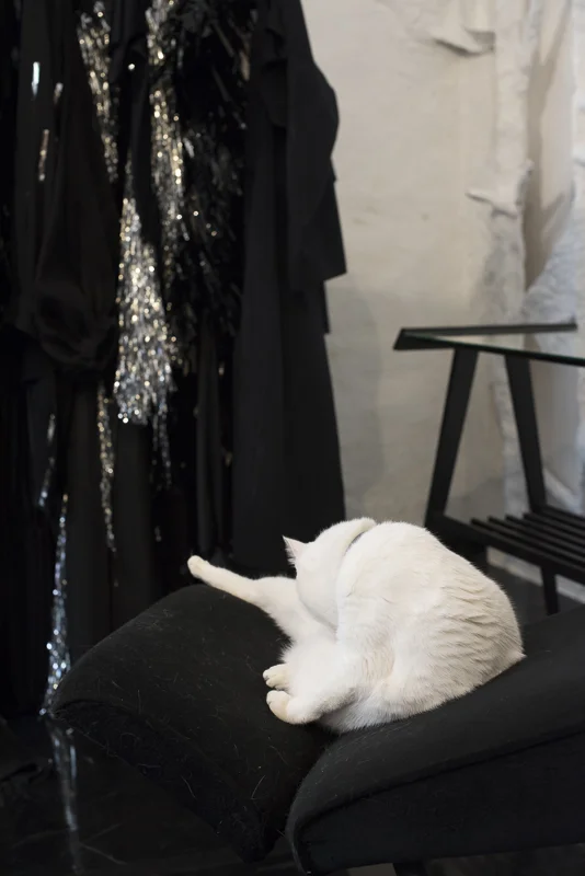 The designer studio - a new twist on B&W
