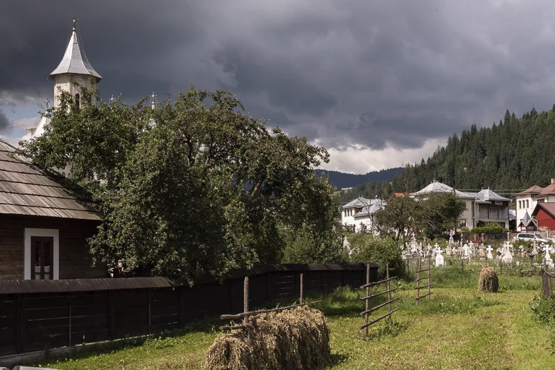 The hay is drying, almost ready for winter storage