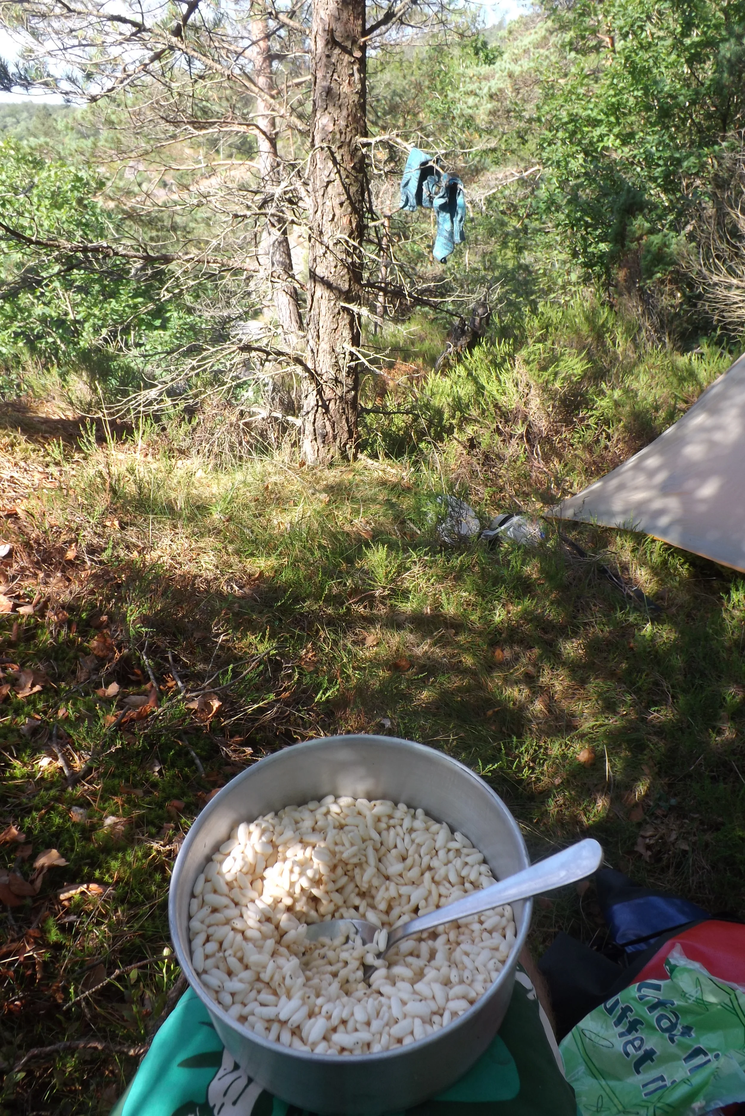  In hindsight, the favourable cost:weight ratio of sugar-puffs-without-the-sugar was not enough to outweigh either the poor taste or the unfavourable volume:energy ratio. 