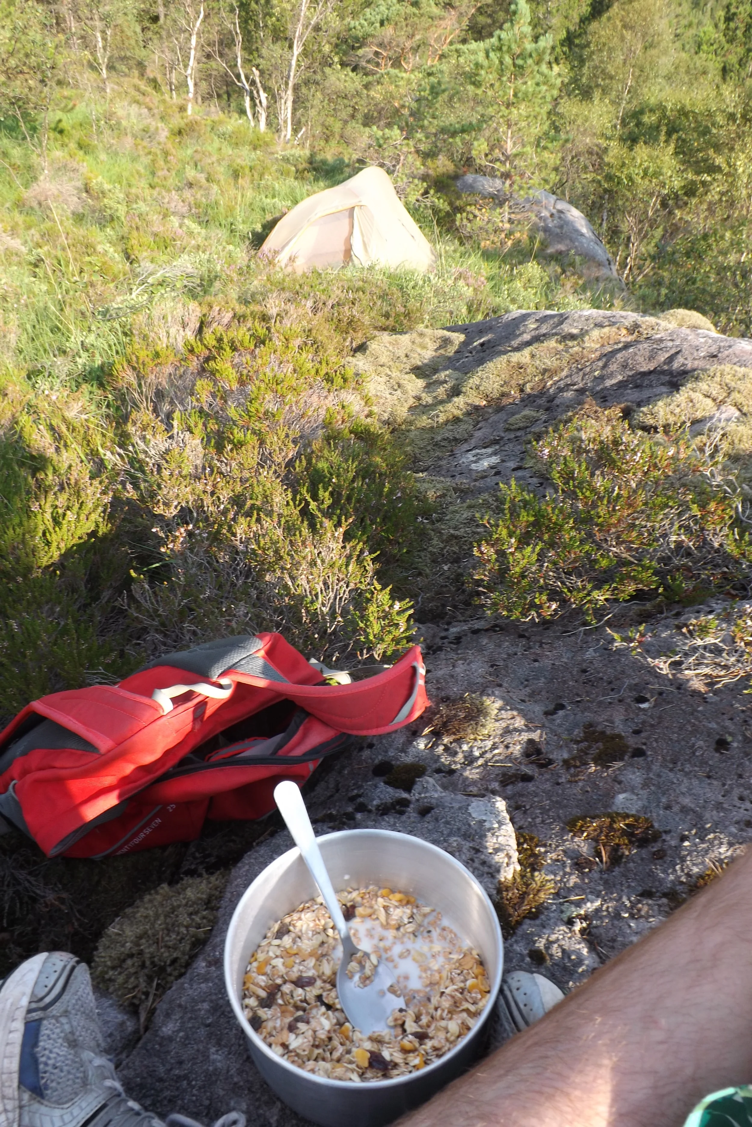  Muesli is a good breakfast choice, and you can feel superior to the rabbits by putting liquid on it and eating it with a spoon. 