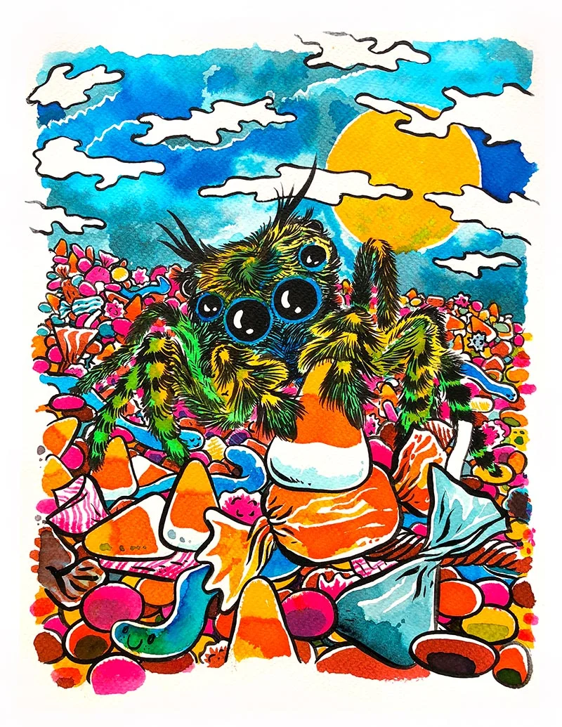 print jumping spider web.jpg