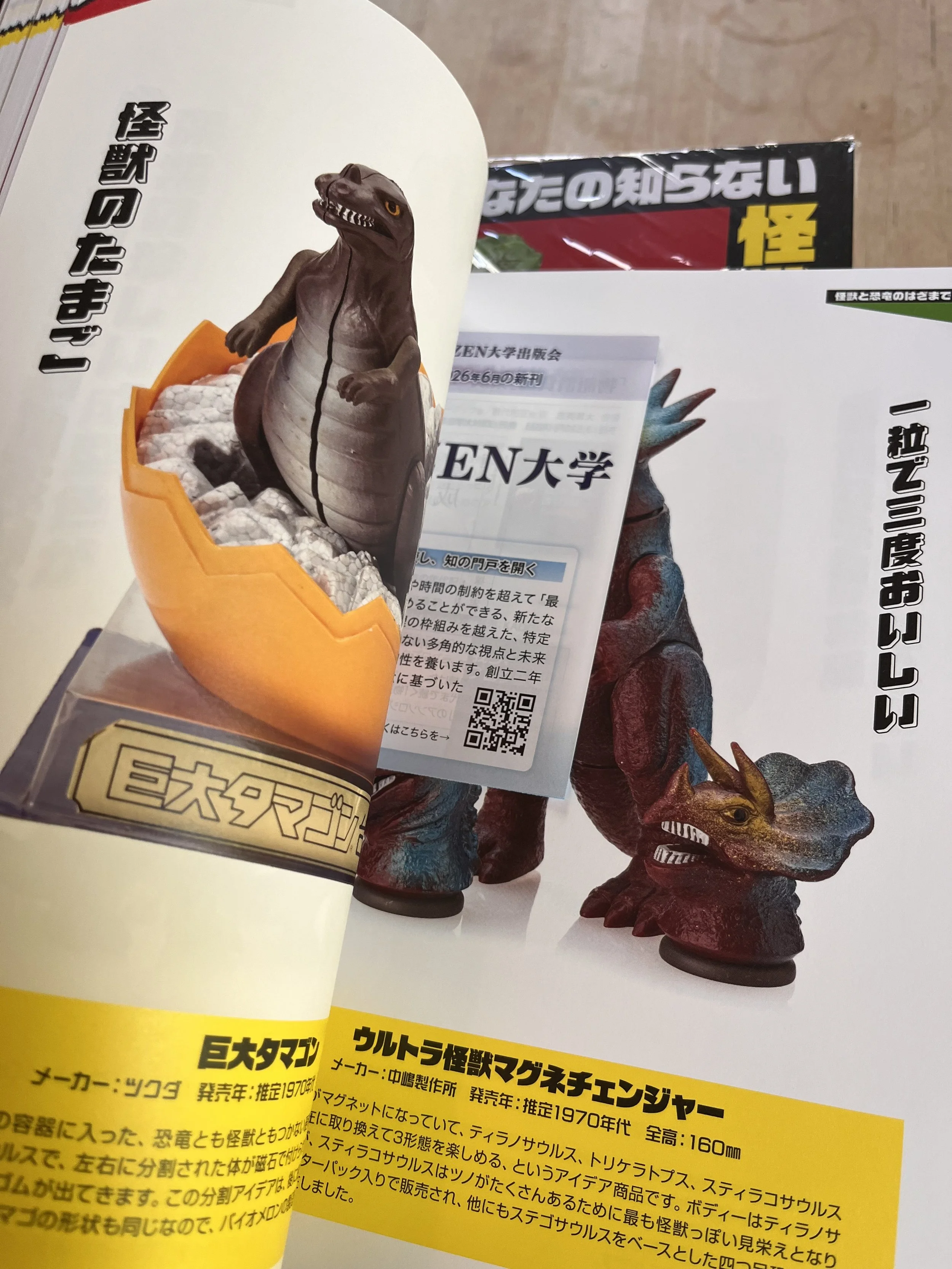 IMG_3427.jpeg