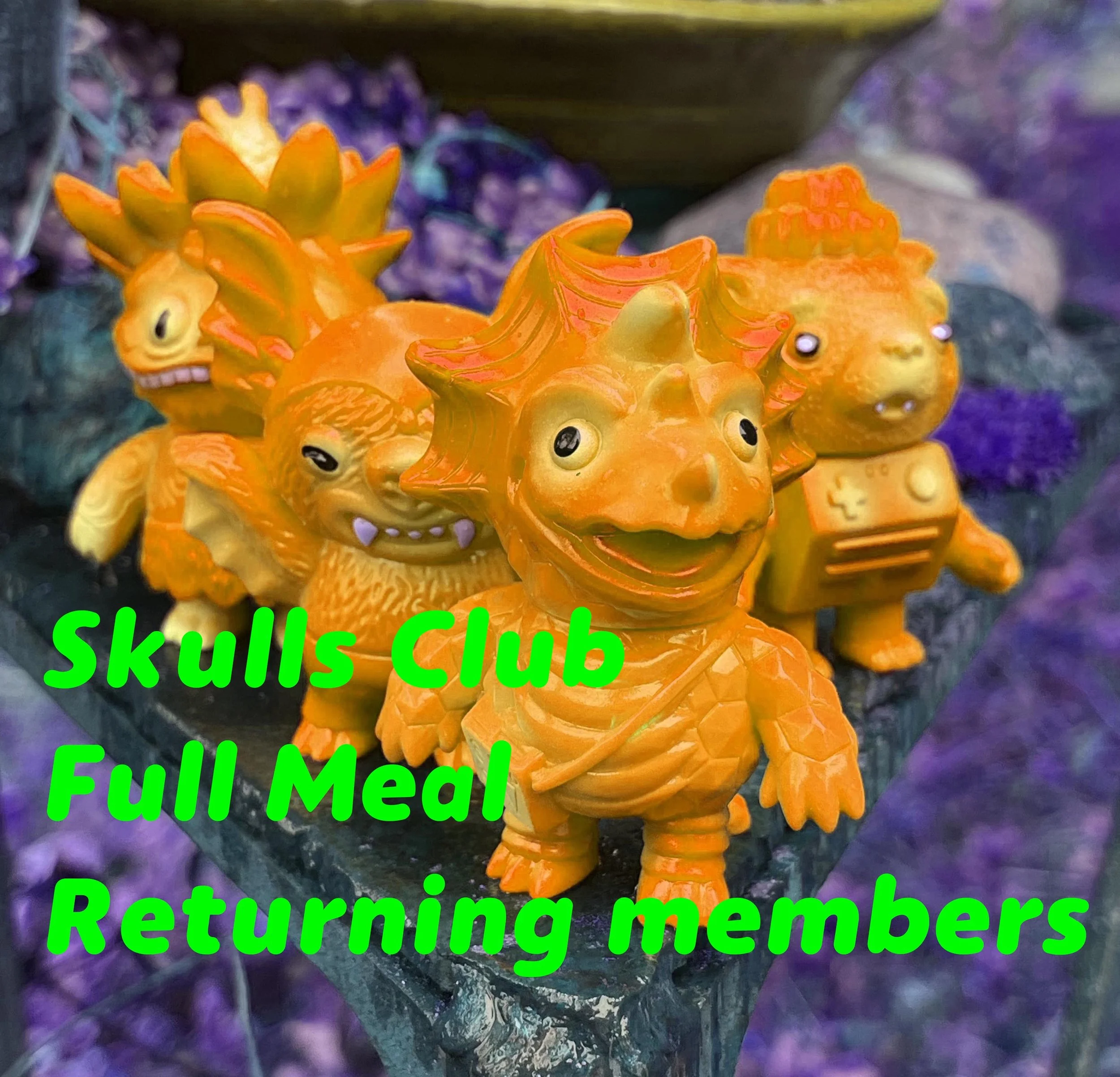 skulls 2026 full returns.jpg