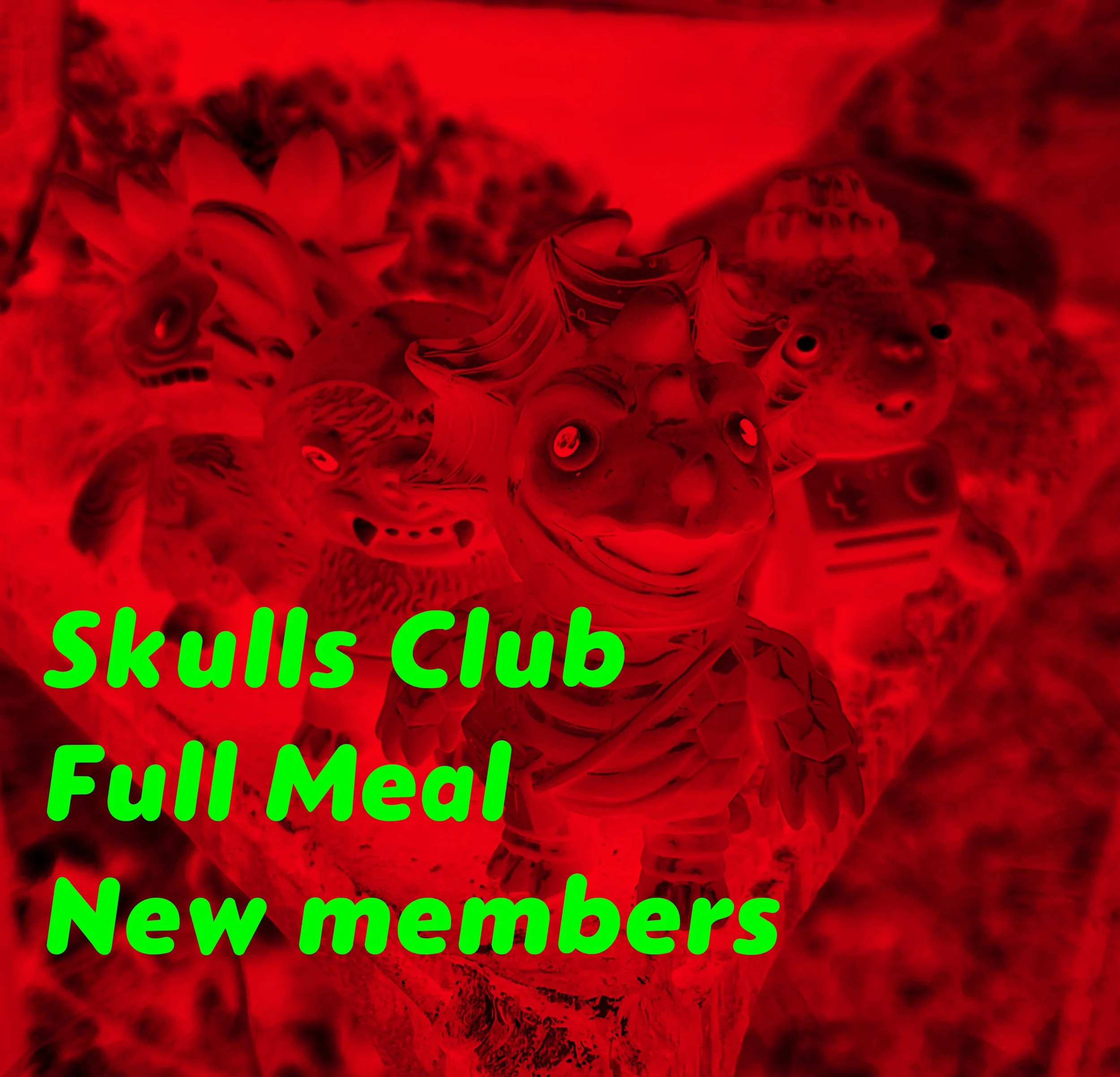 skulls 2026 full new.jpg