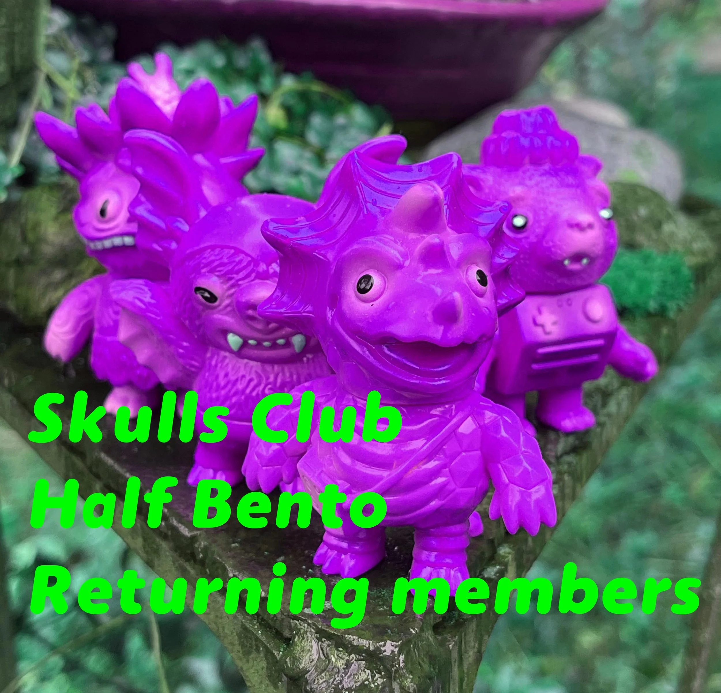 Returning 2026 Half Bento Skulls Club Membership