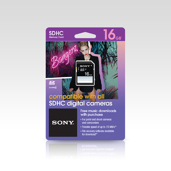 ps_projects_masd_packaging_music2.png