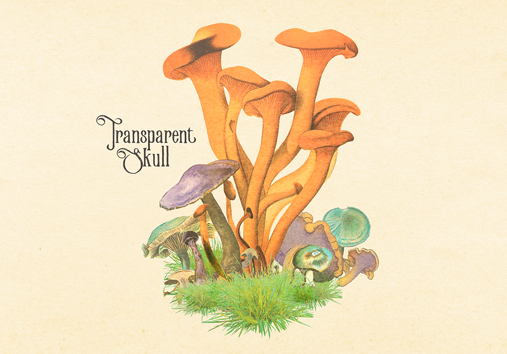ps_projects_transparentskull_thumb.png