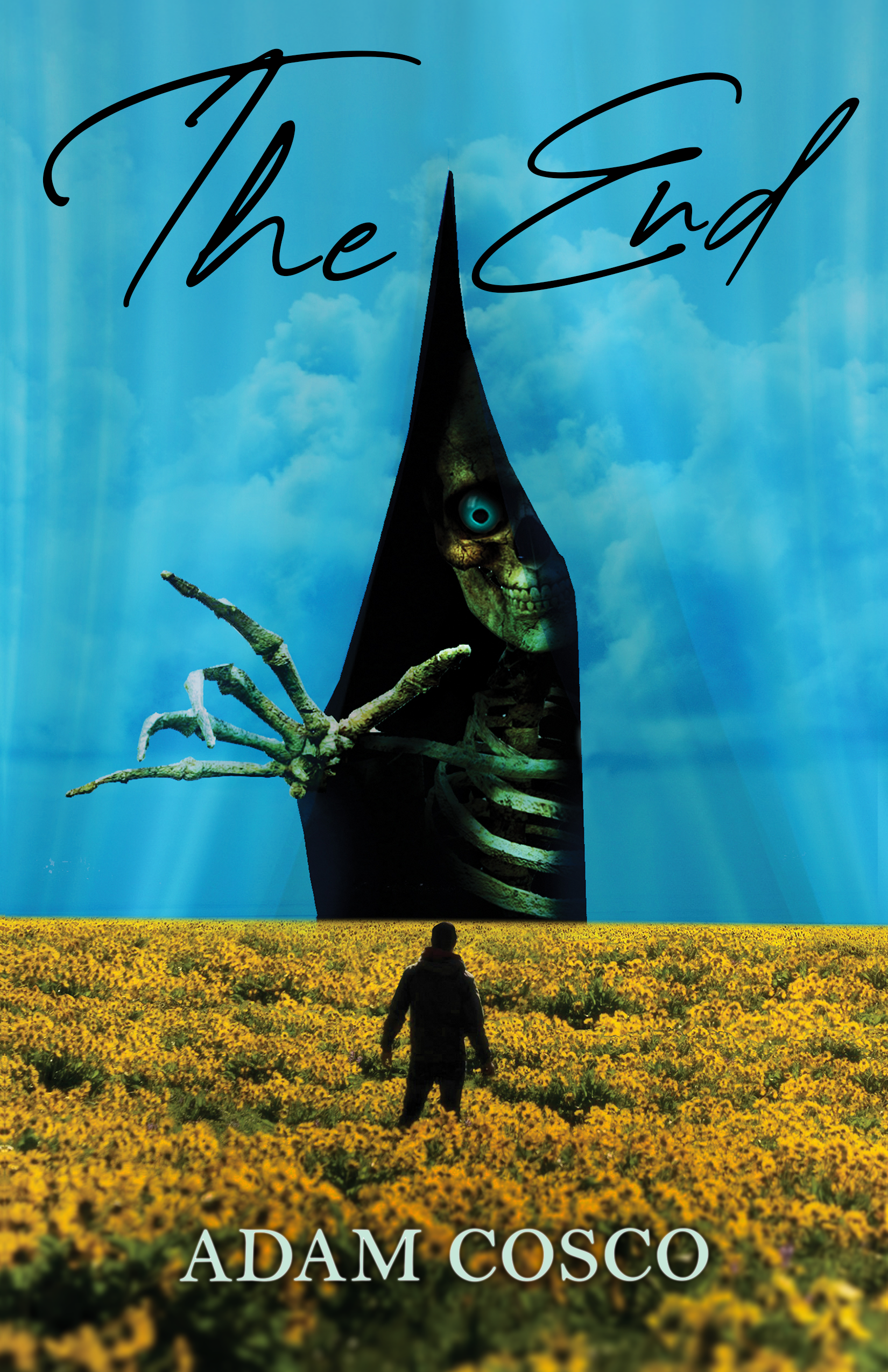 The End book cover cosco