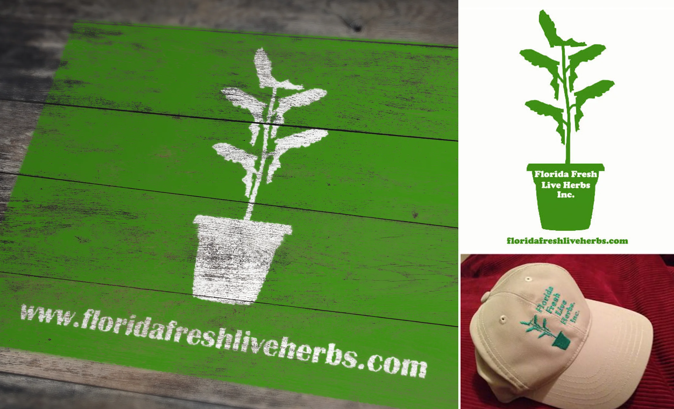 BRANDING & LOGO DESIGNFlorida Fresh Live Herbs Inc. came to me with only a sketch. After some brainstorming sessions with the owner, we finalized a straight-forward and classic design that worked with their merchandising/manufacturing budge…