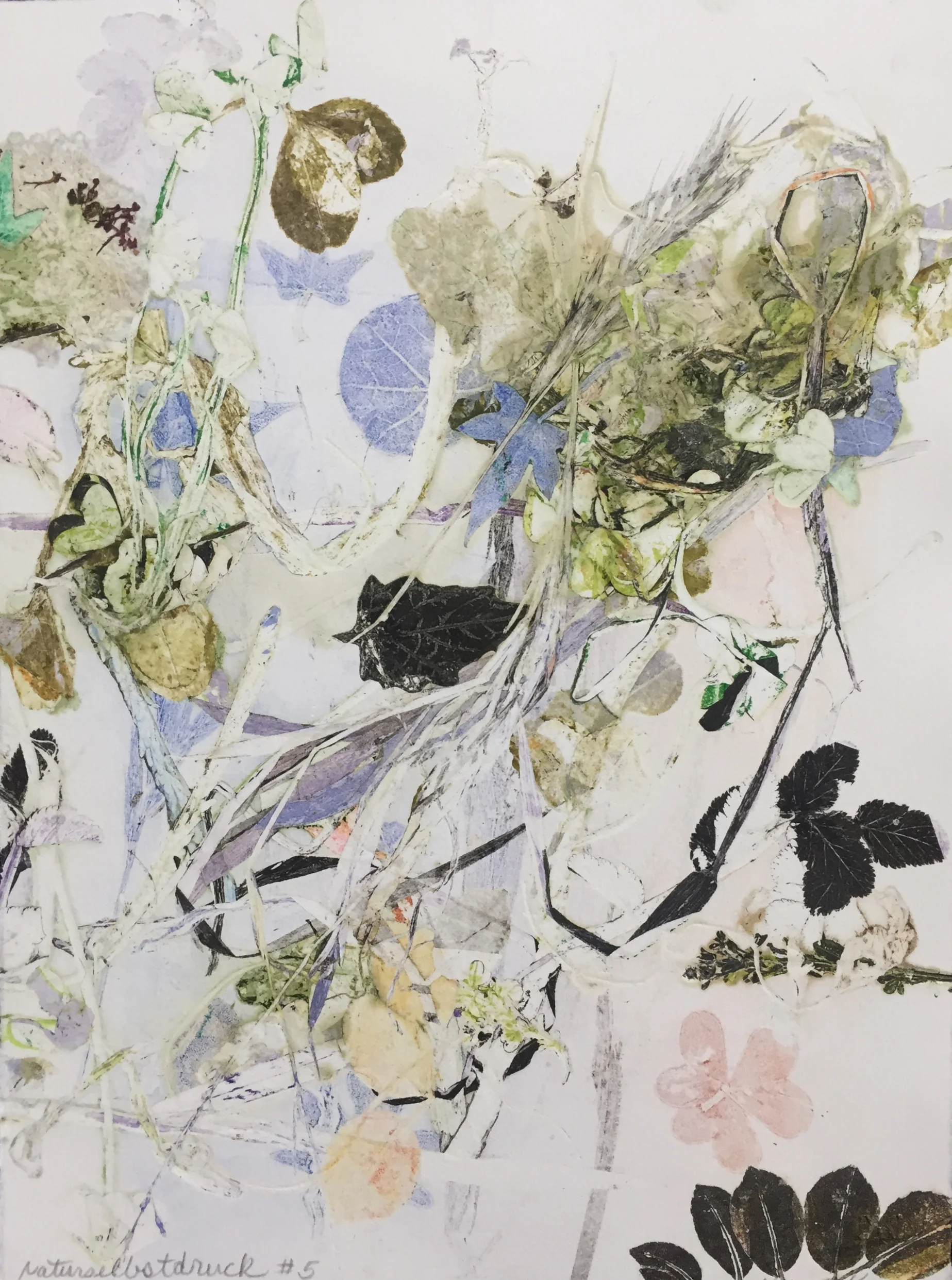  Naturselbstdruck #5