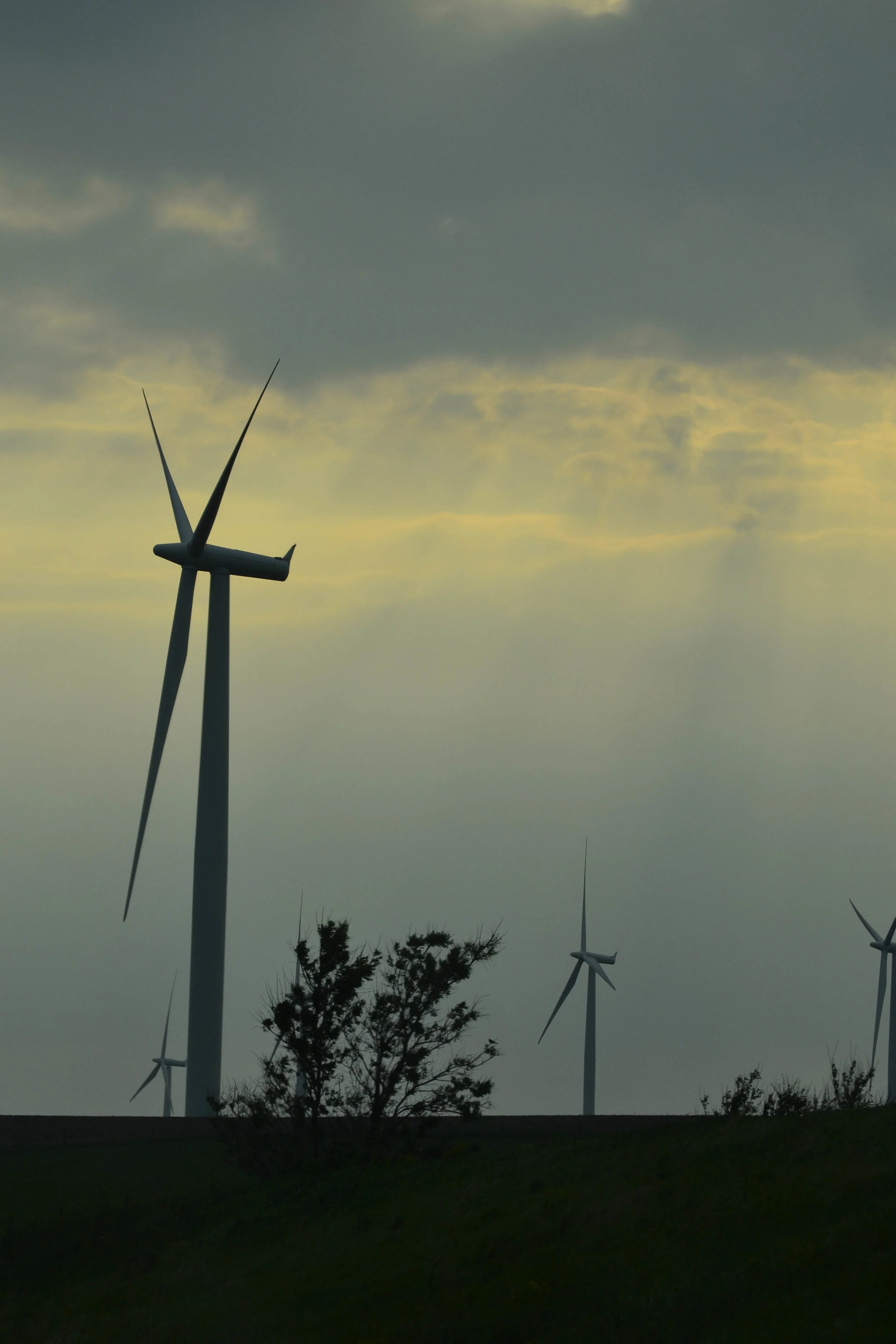 windmill1.jpg