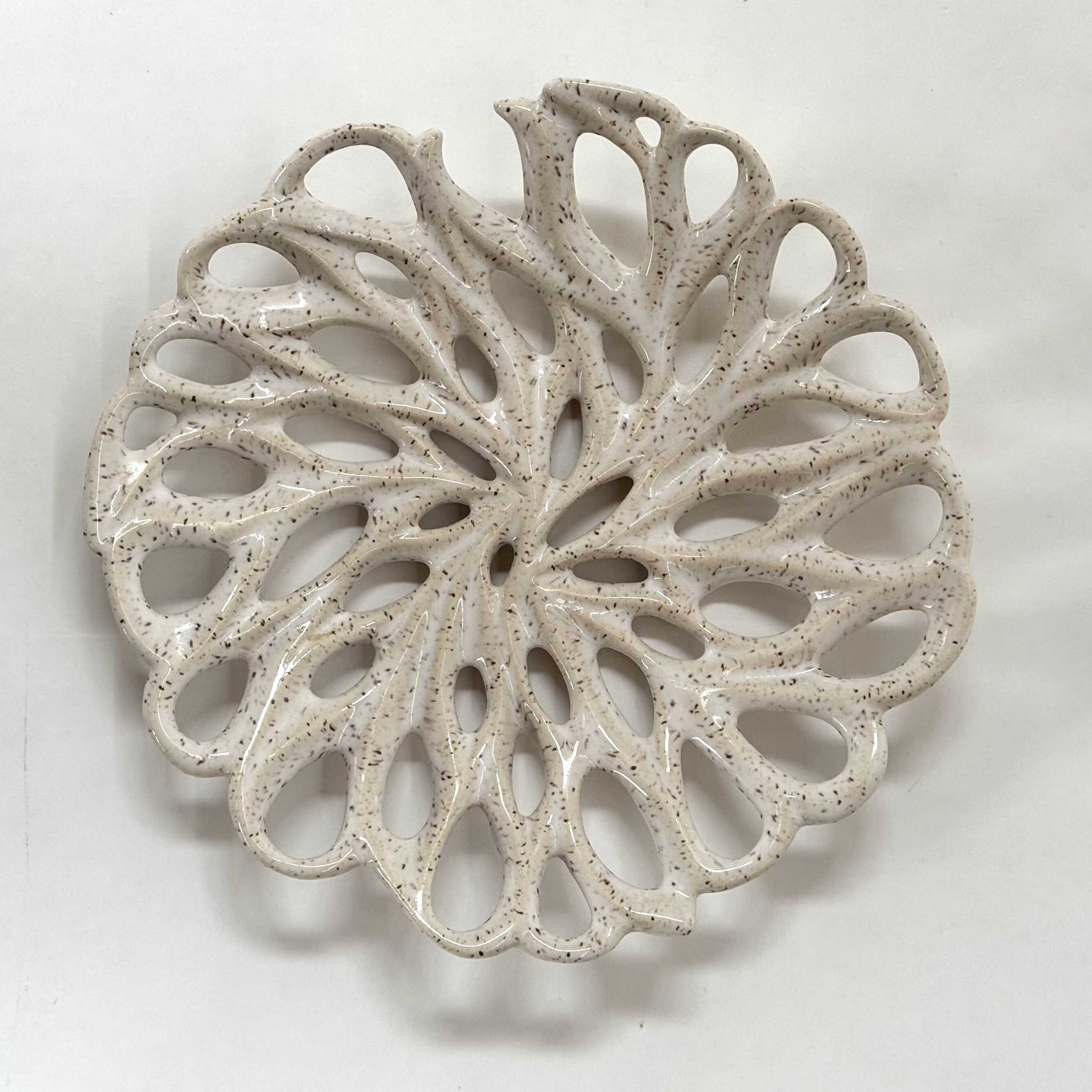 5 Fossilized Colony png.png