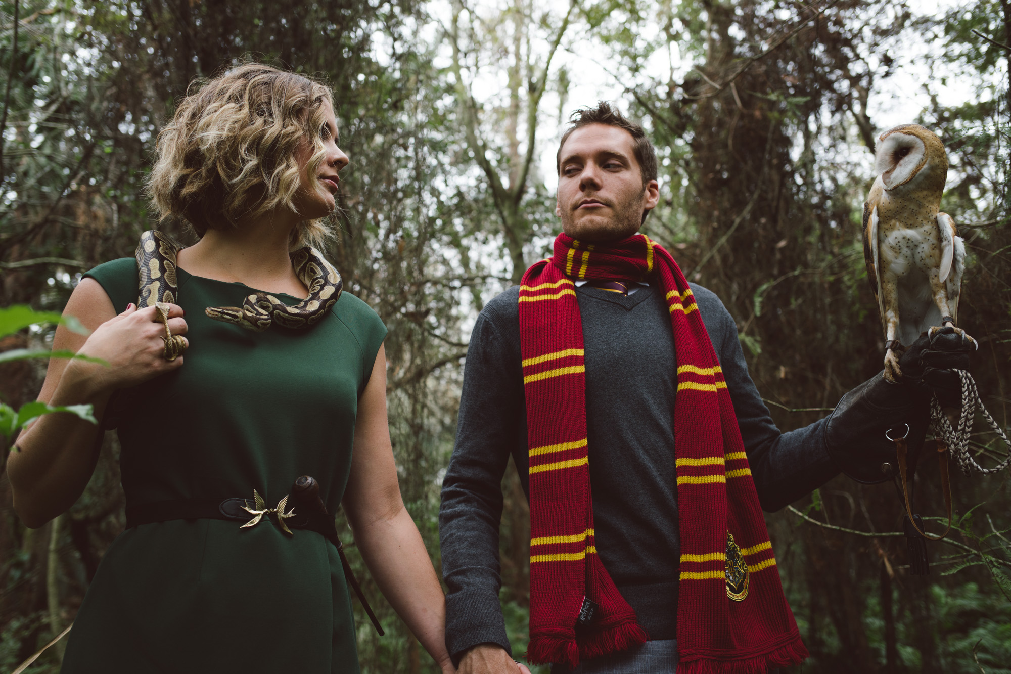 Harry Potter Engagement