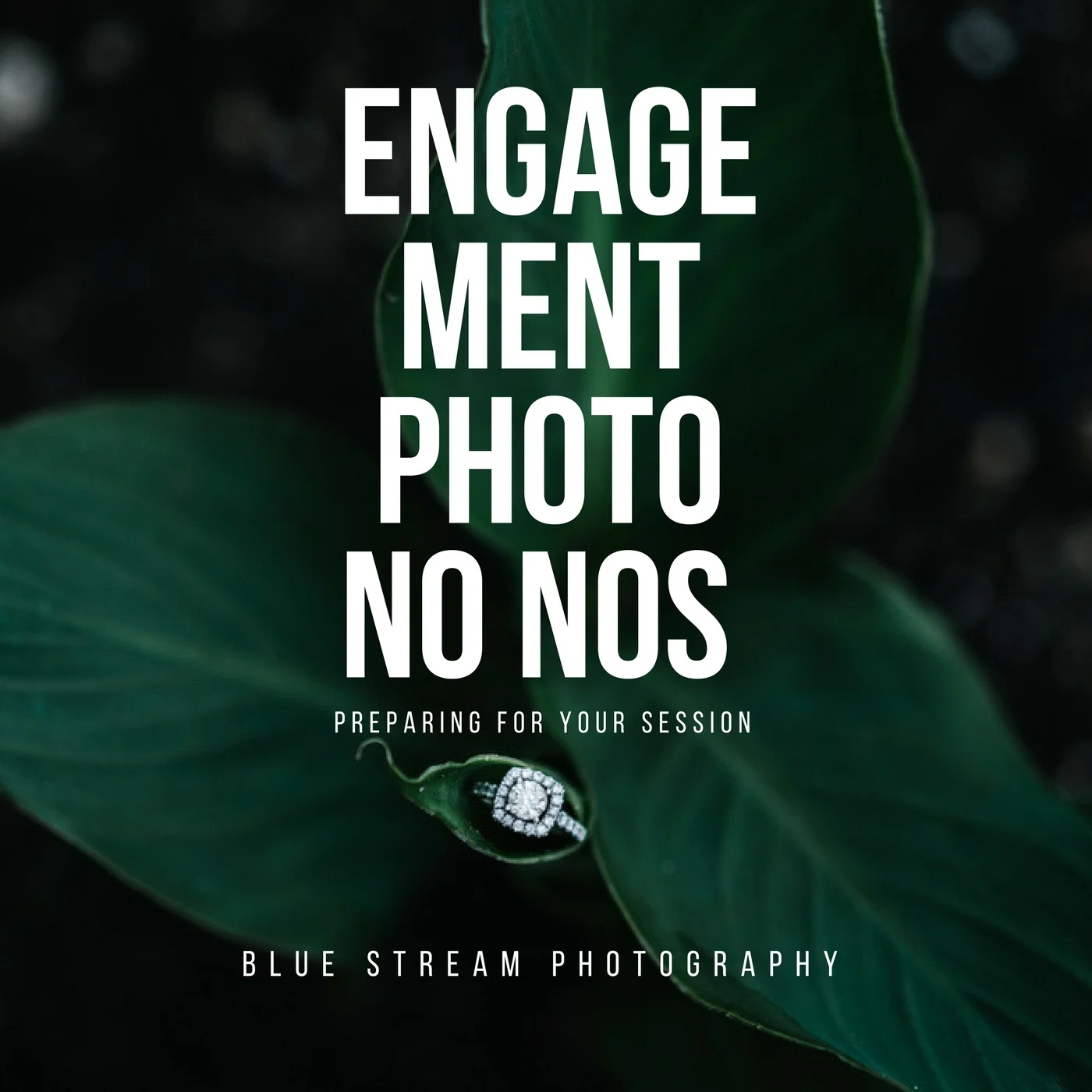 engagementnonos.jpg