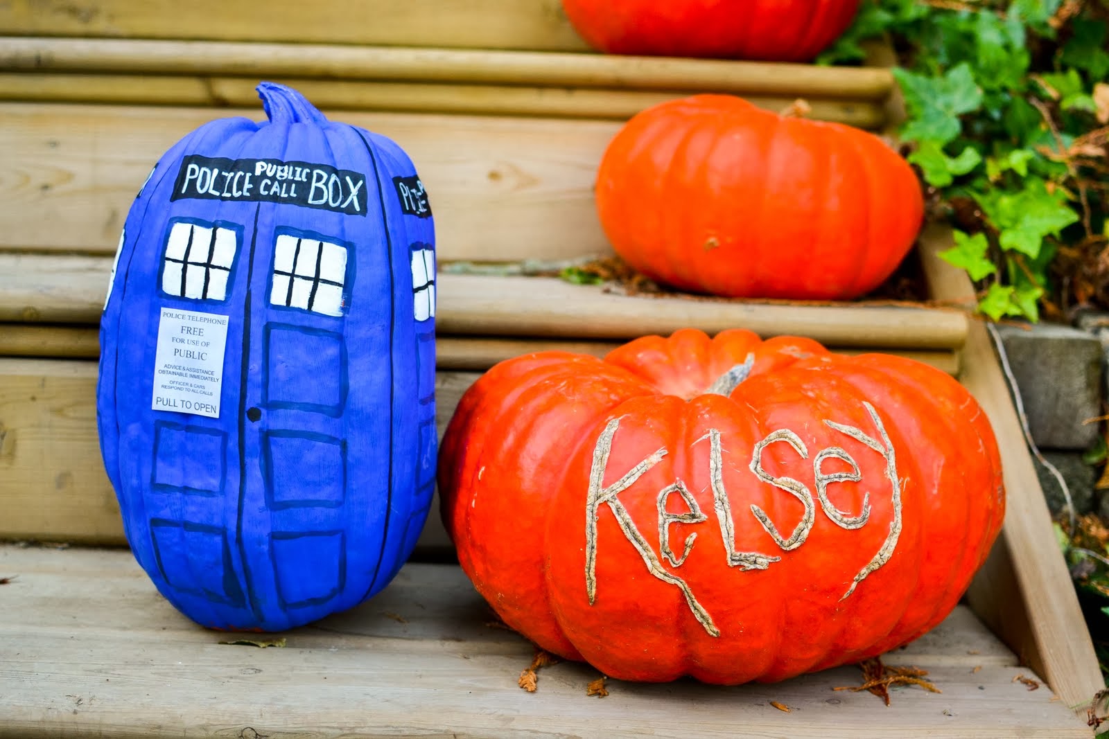 Diy TARDIS Painted Pumpkin The Farmer s Daughter Let s Bake Something diy-tardis-painted-pumpkin-the-farmer-s-daughter-let-s-bake-something