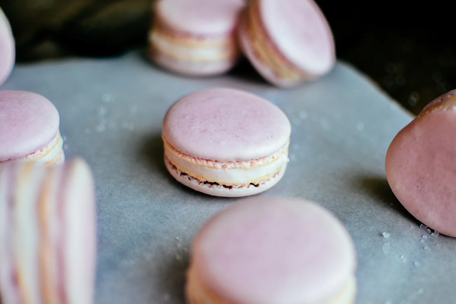 raspberry macarons with coconut butter cream filling — the farmer's