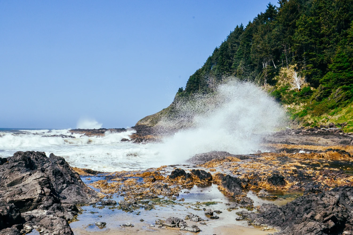 Wild waves at Cape Perpetua