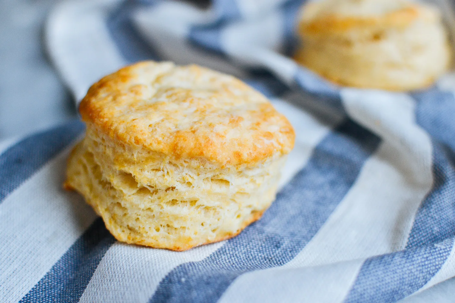 fluffiest ever baking powder biscuits — the farmer's daughter let's